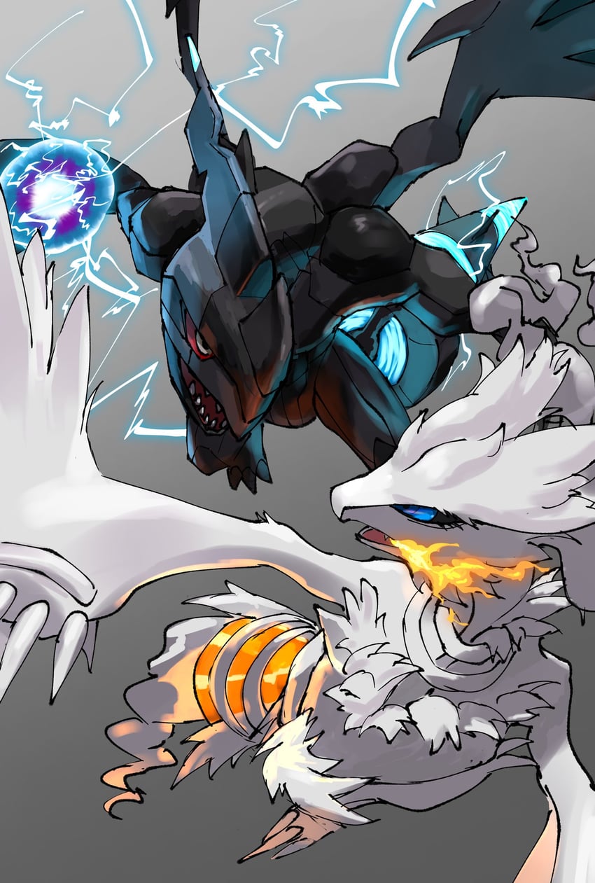 Reshiram And Zekrom Wallpapers