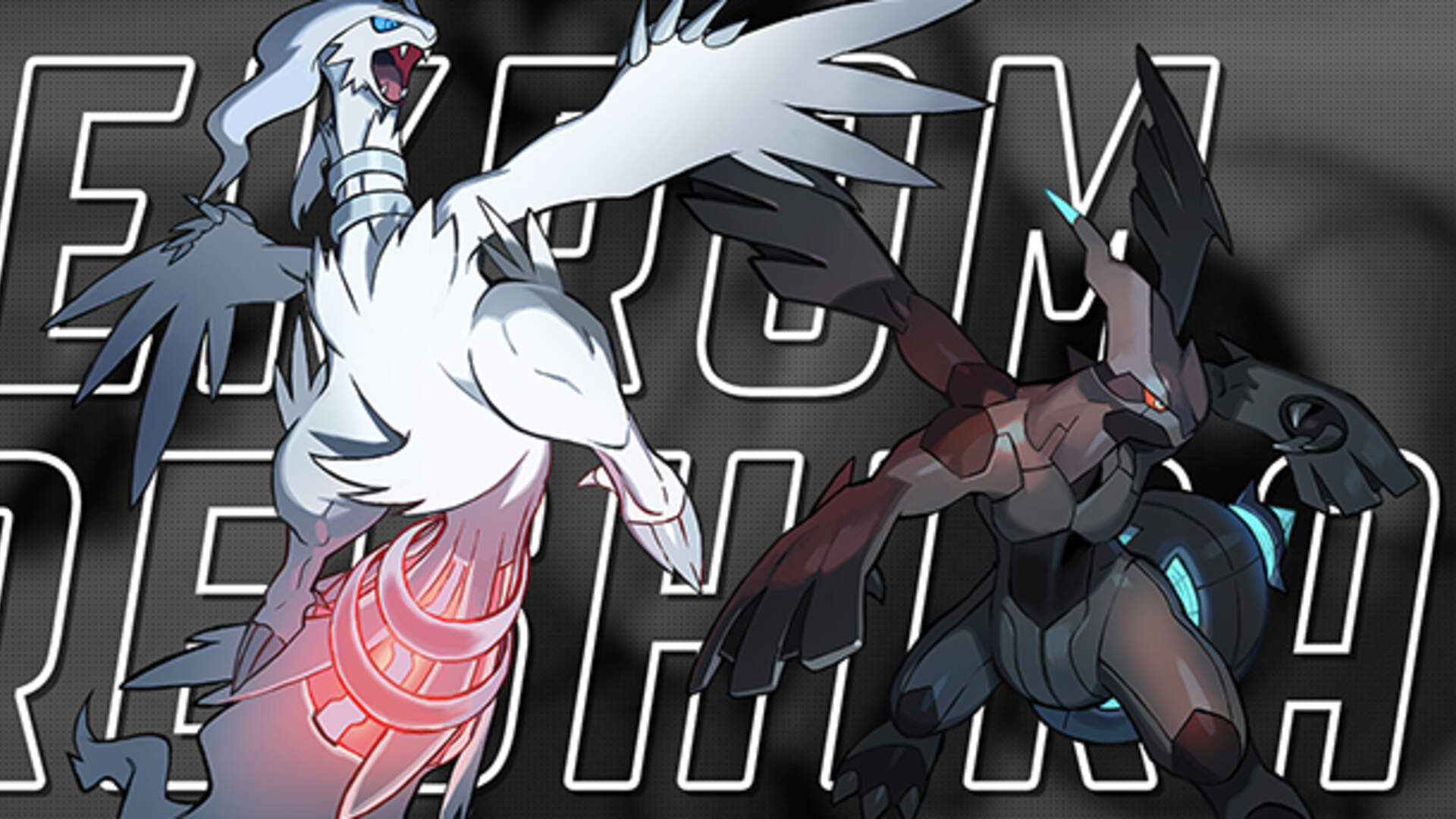 Reshiram And Zekrom Wallpapers