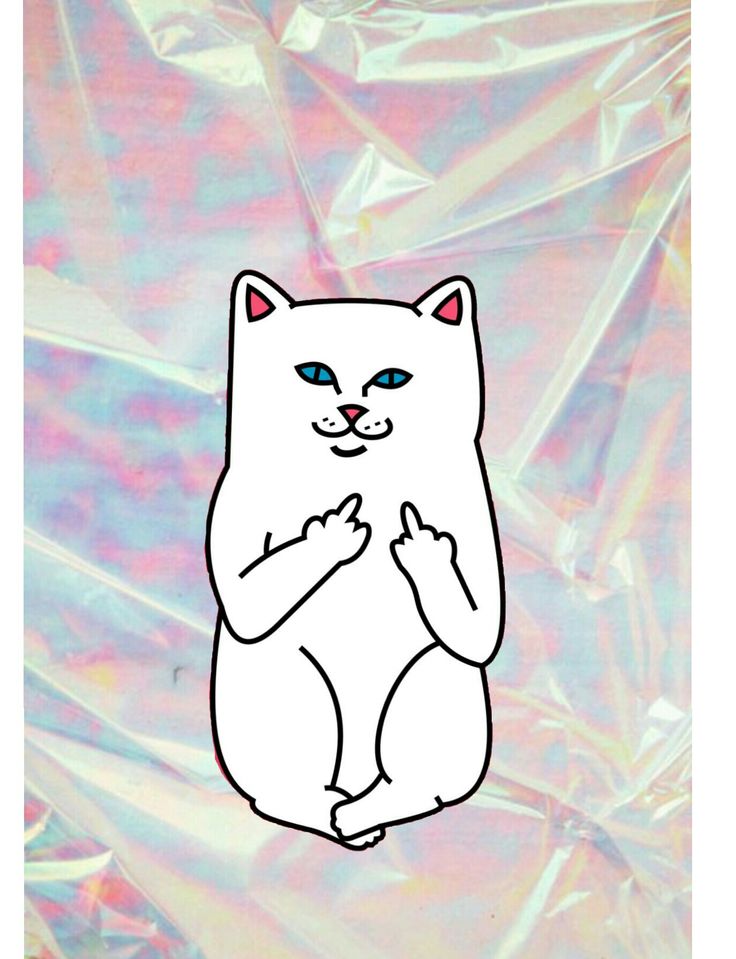 Ripndip Cat Wallpapers