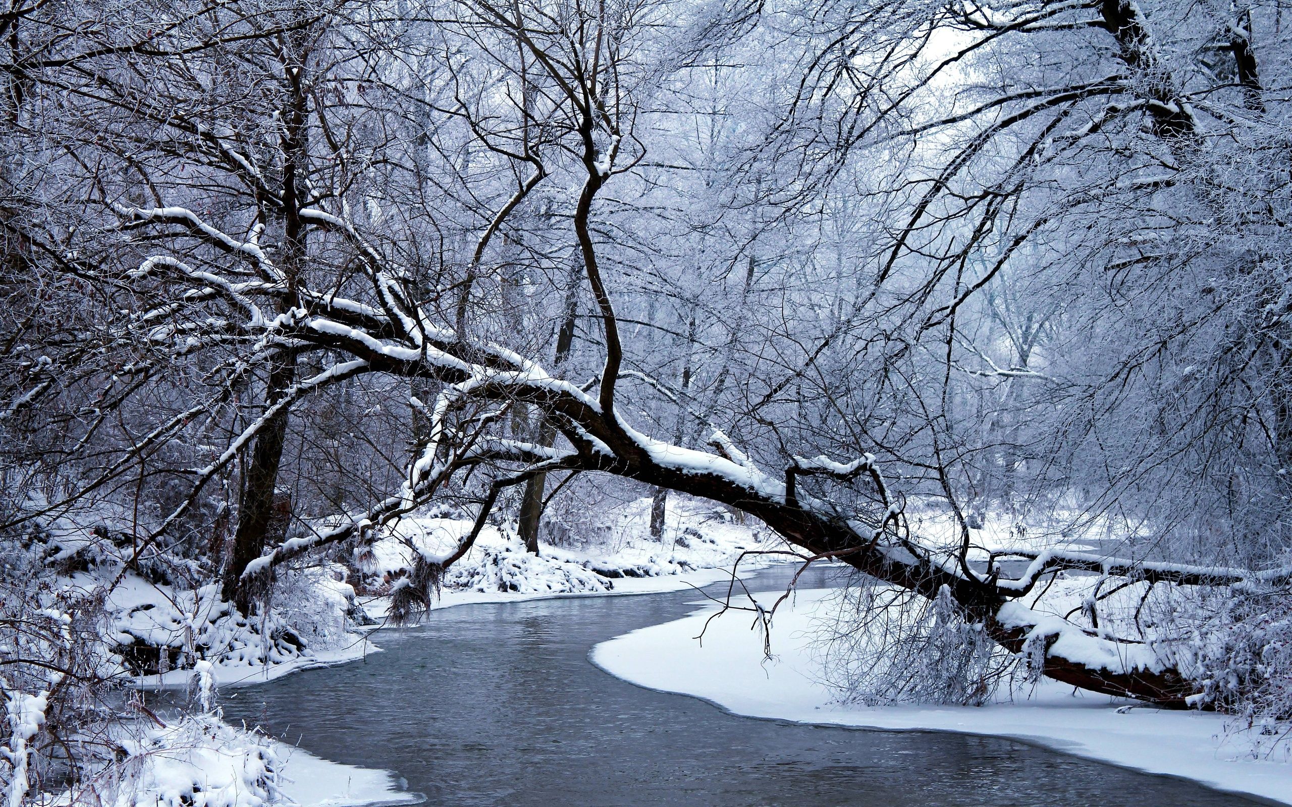 Rivers In Winter Wallpapers