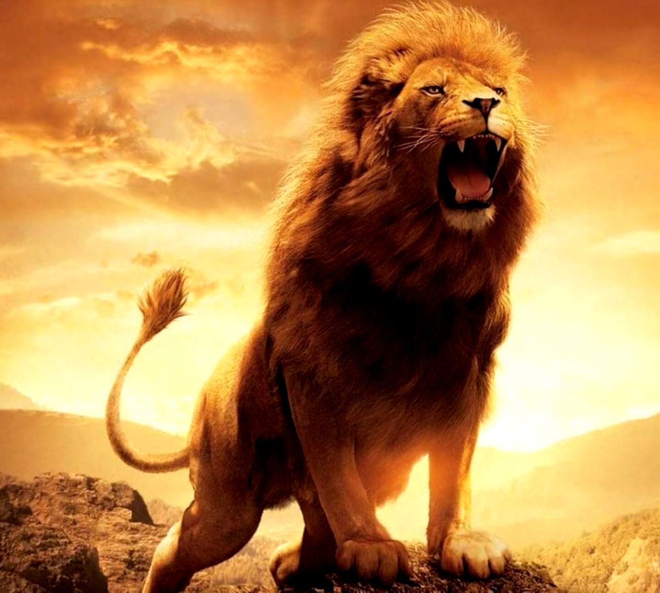 Roaring Lion Wallpapers