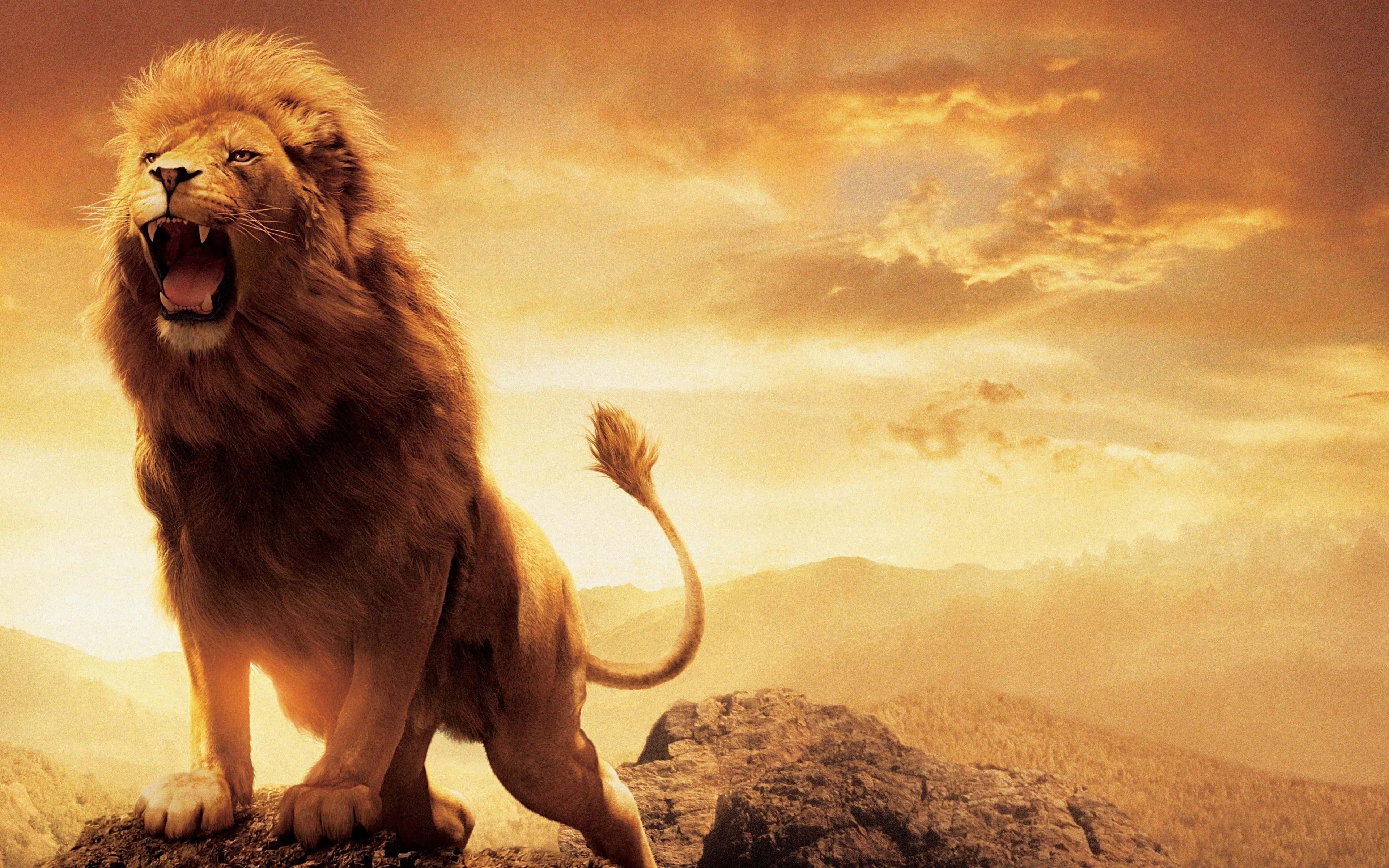 Roaring Lion Wallpapers