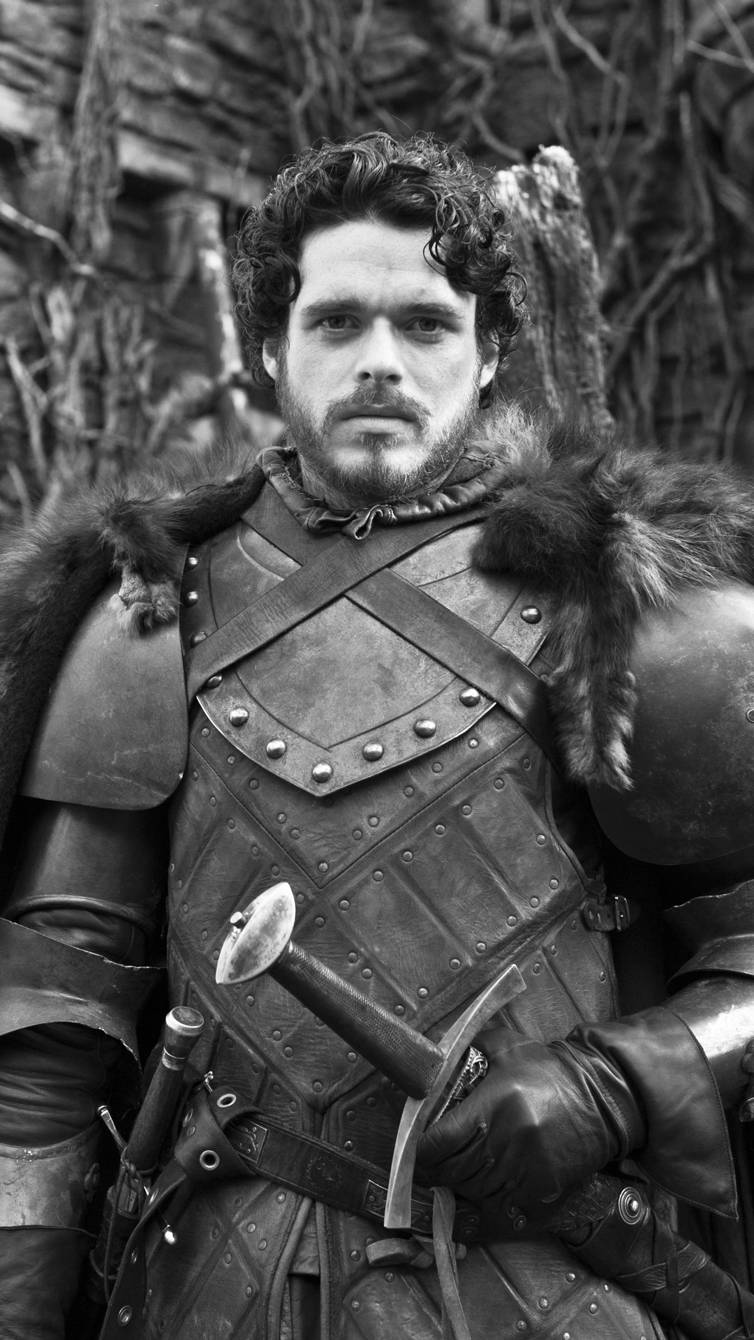 Robb Stark Wallpapers