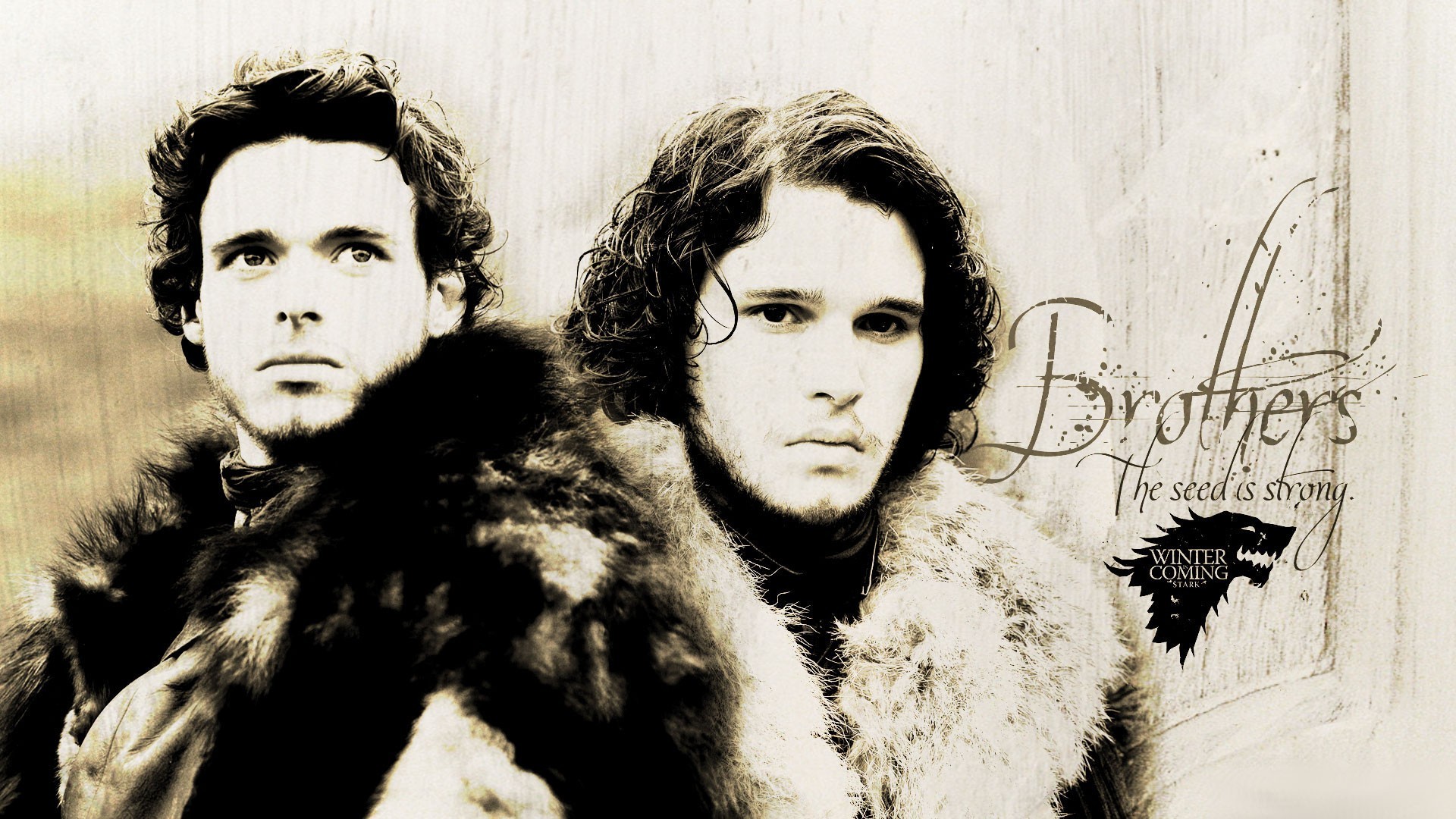 Robb Stark Wallpapers