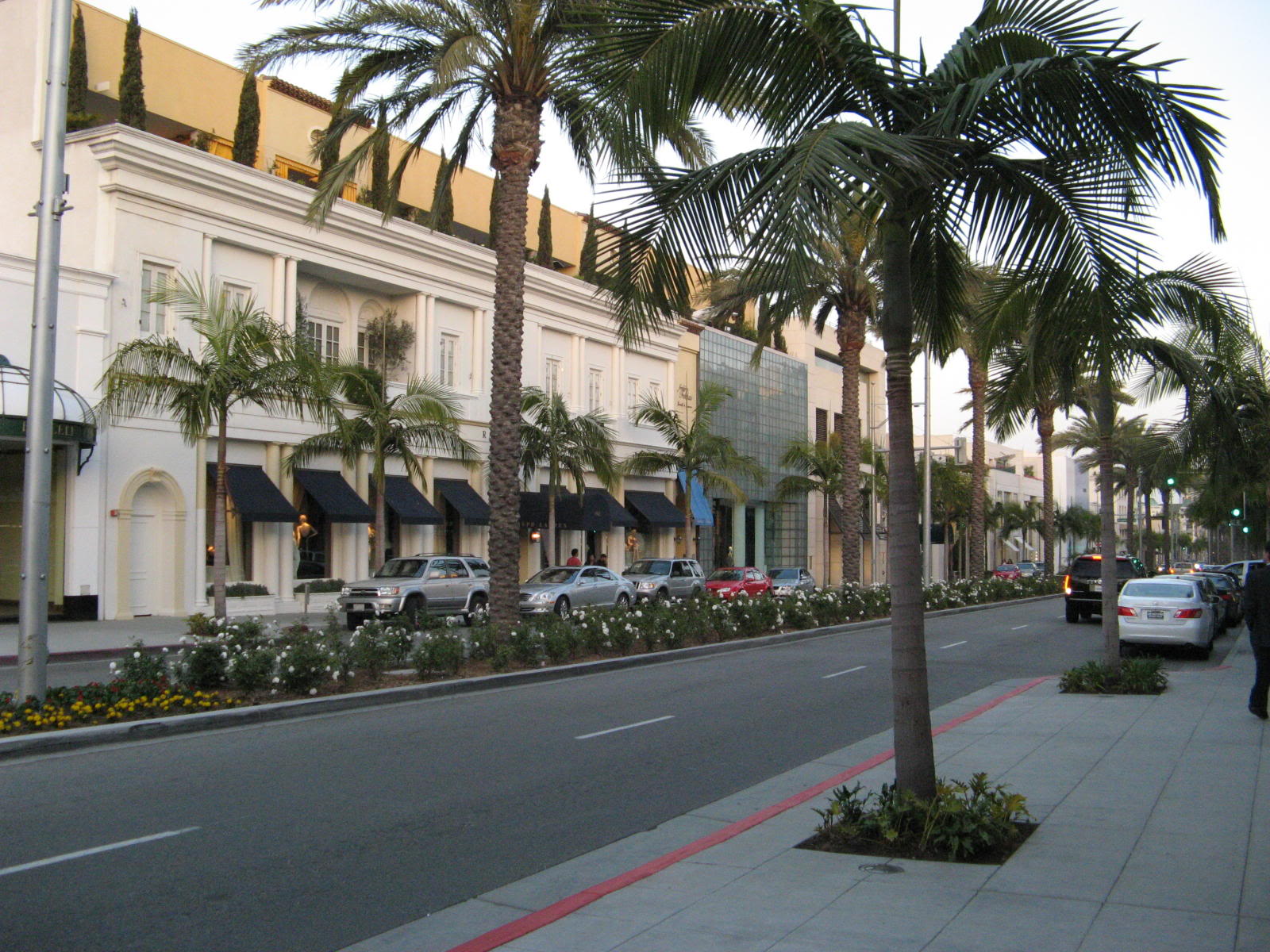 Rodeo Drive Wallpapers