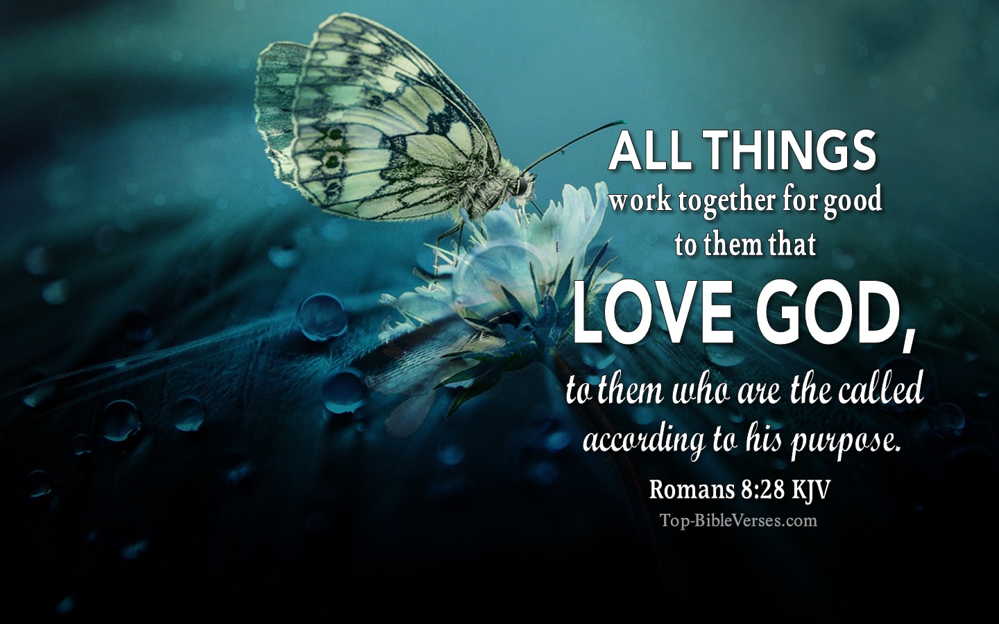 Romans 8 28 nasb