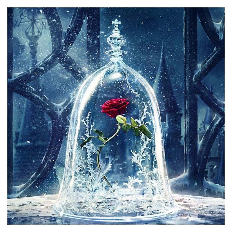 Rose Beauty And The Beast Wallpapers