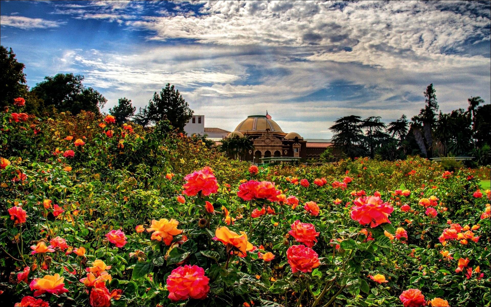 Rose Garden Wallpapers