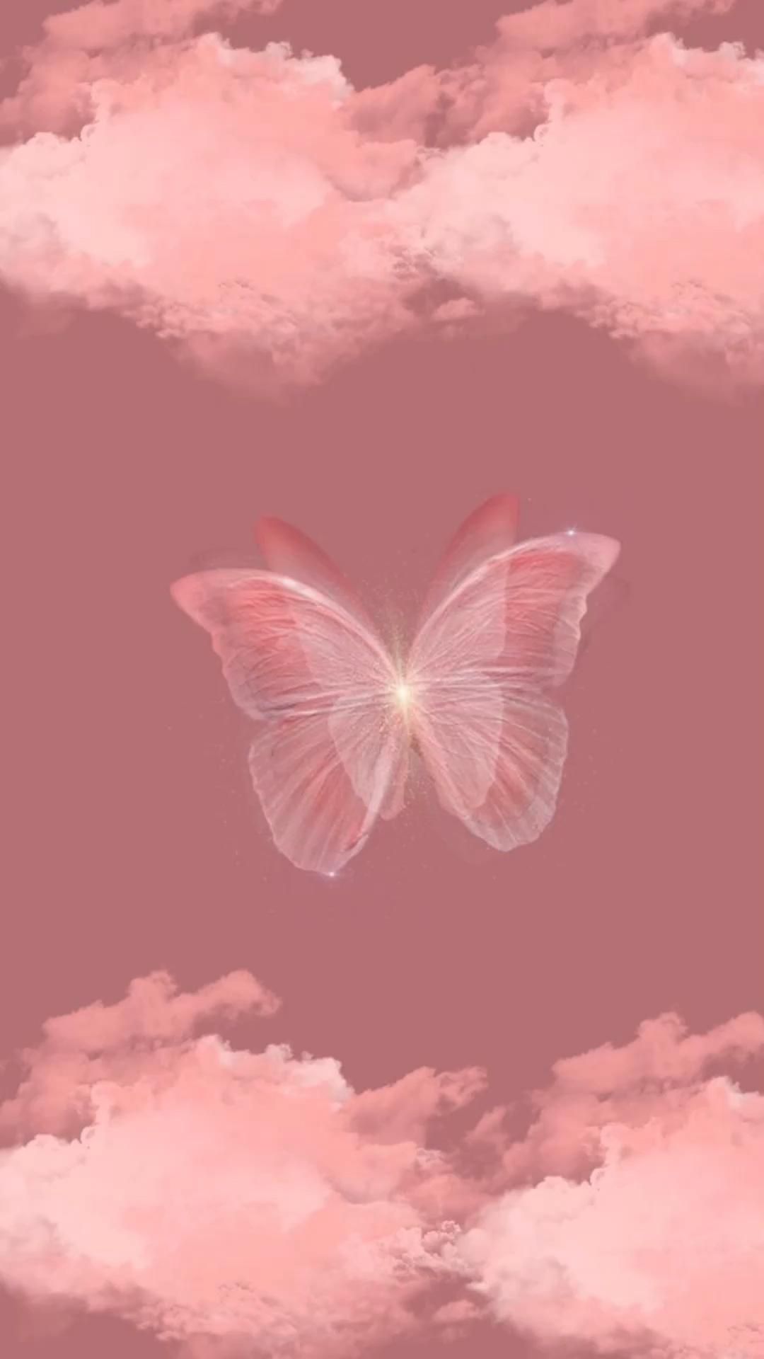Rose Gold Butterfly Wallpapers