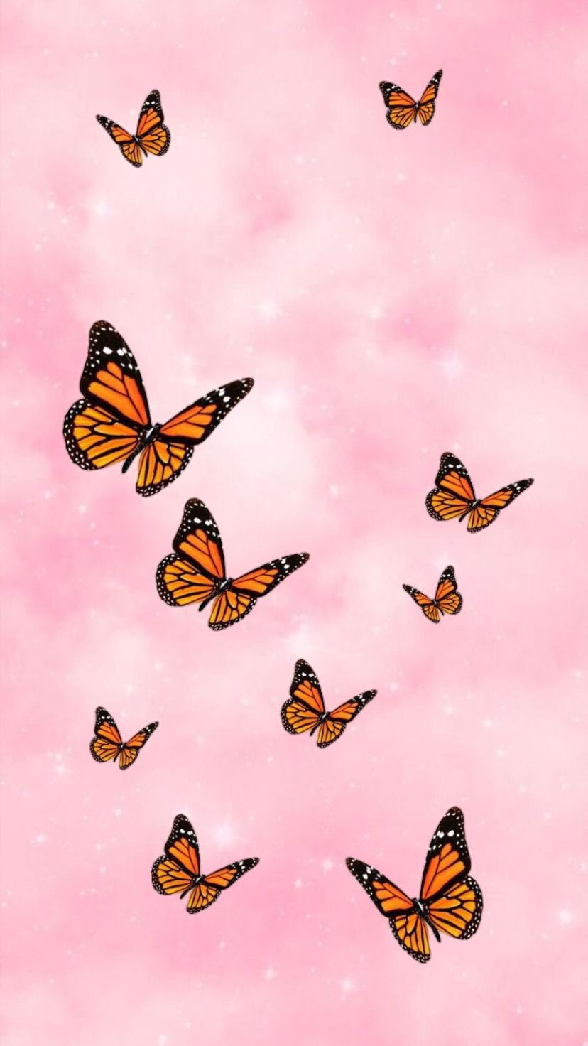 Rose Gold Butterfly Wallpapers