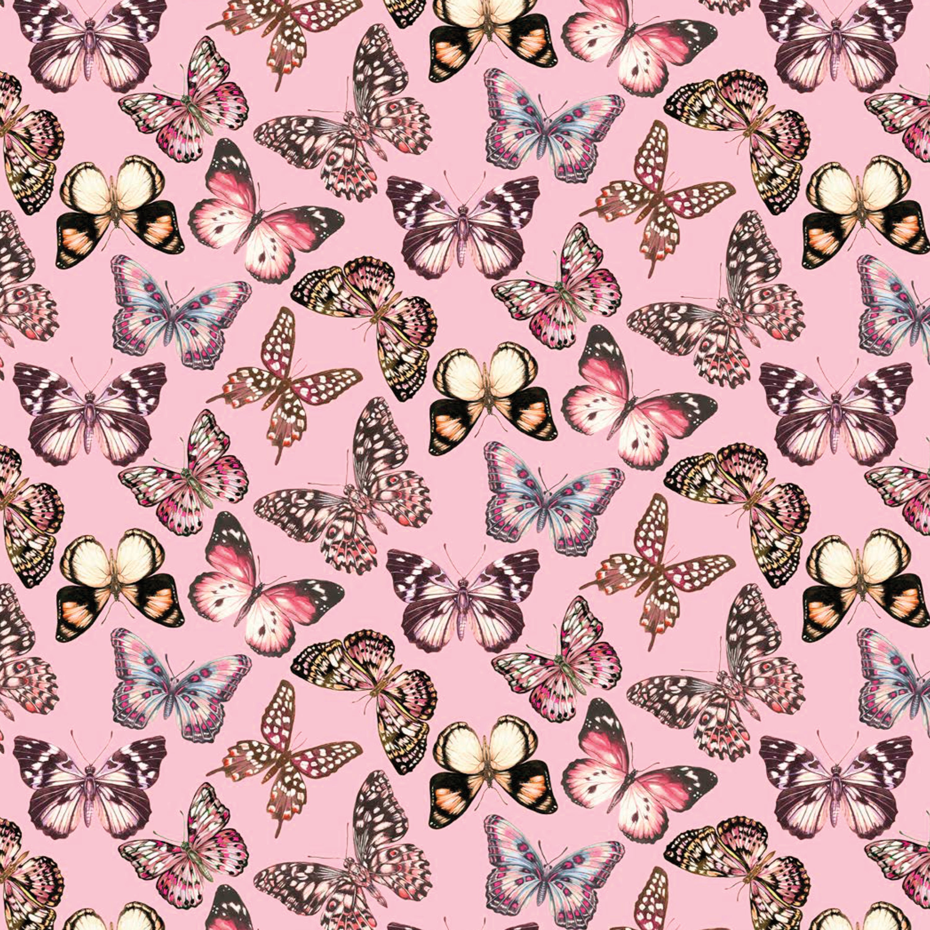 Rose Gold Butterfly Wallpapers