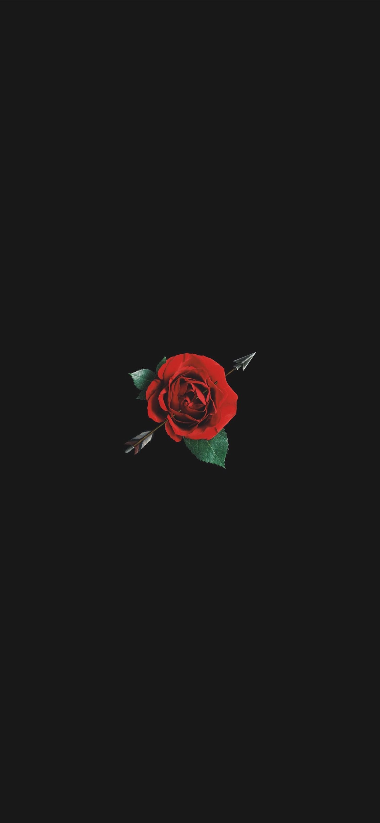 Rose On Fire Wallpapers