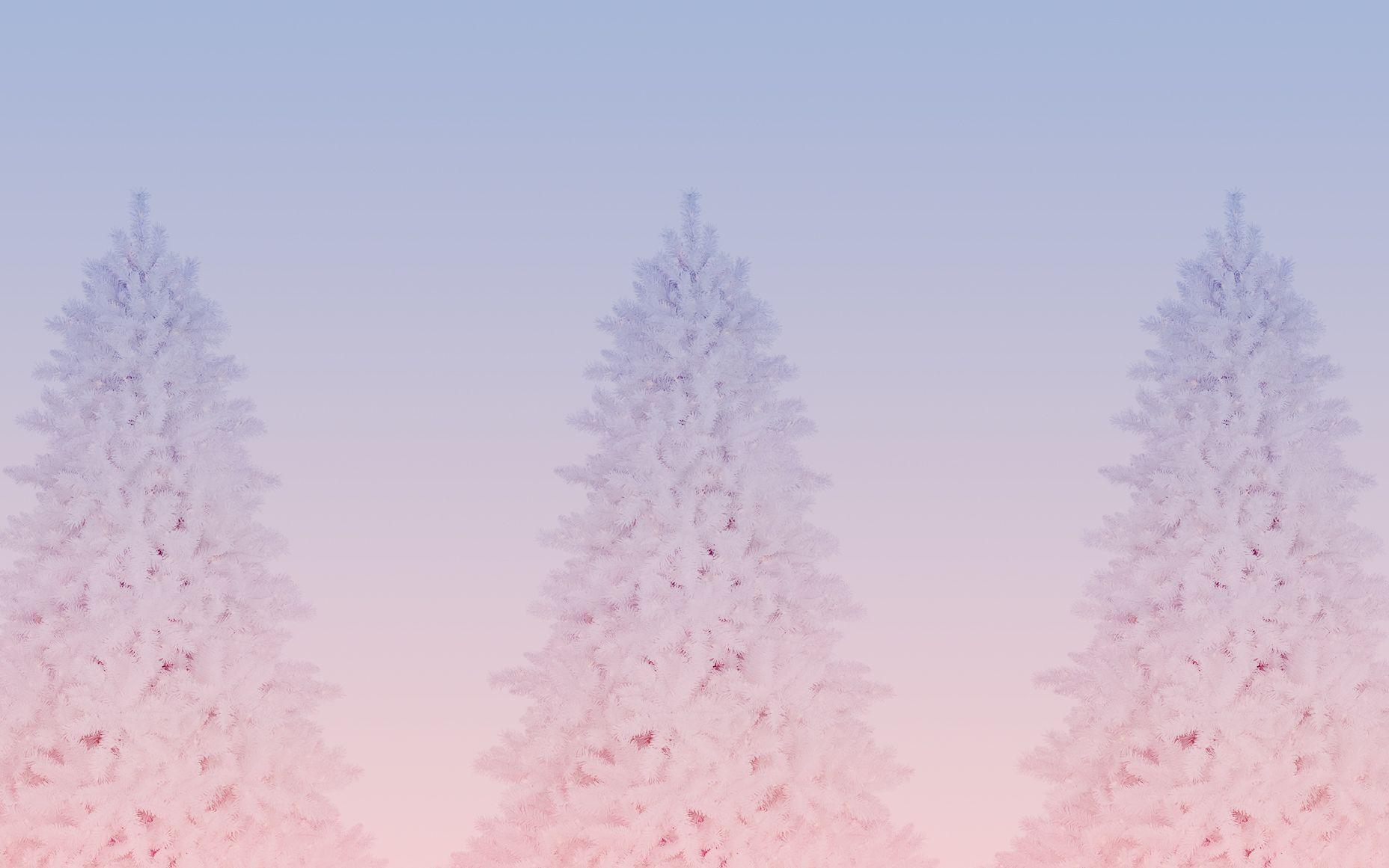 Rose Quartz Wallpapers