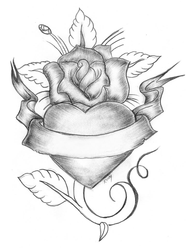 Rose Drawing Wallpapers