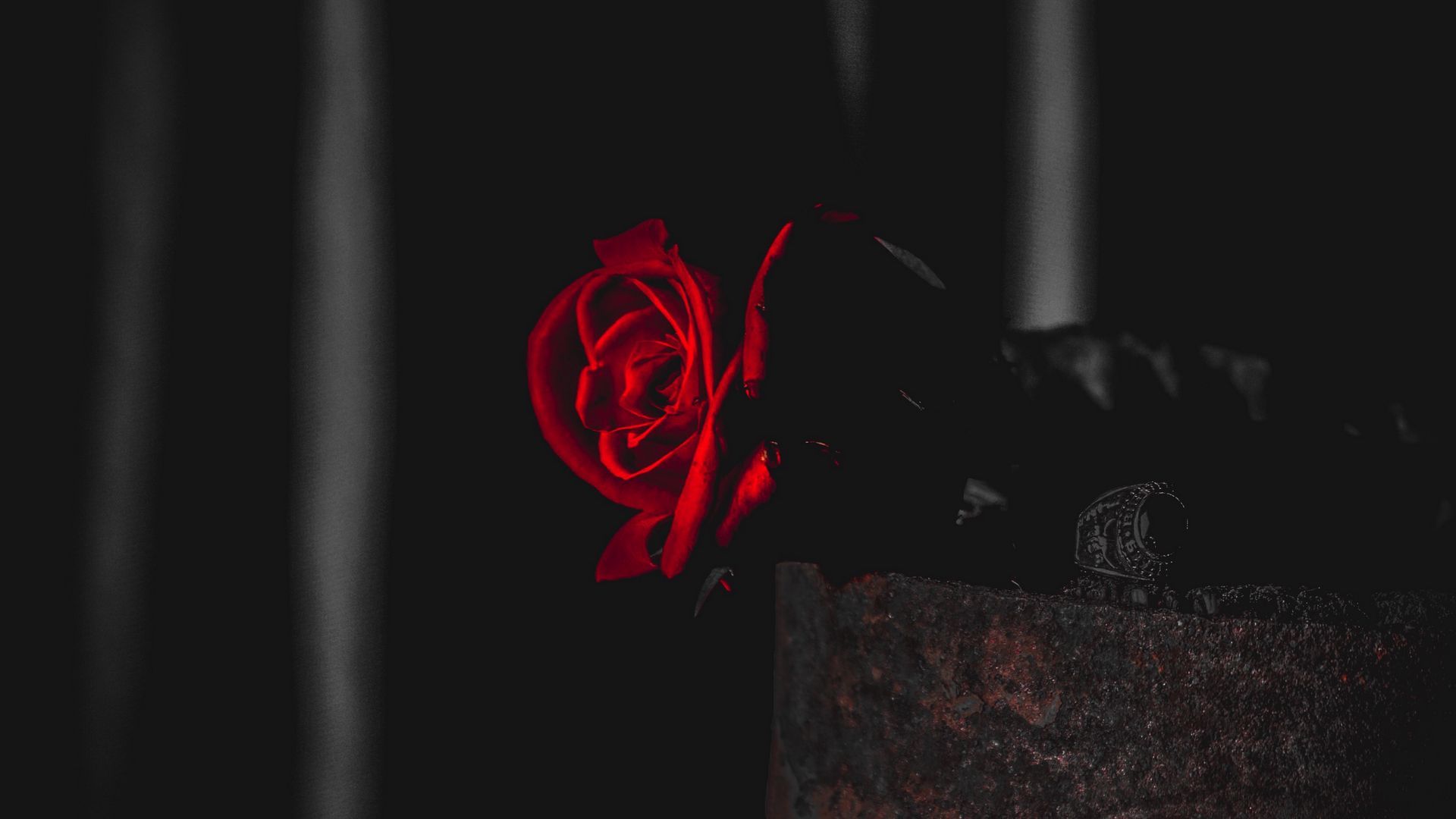 Rose For Laptop Wallpapers