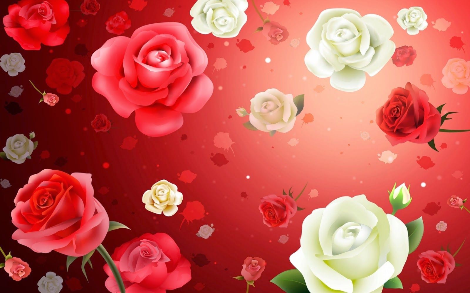 Roses Flower Wallpapers