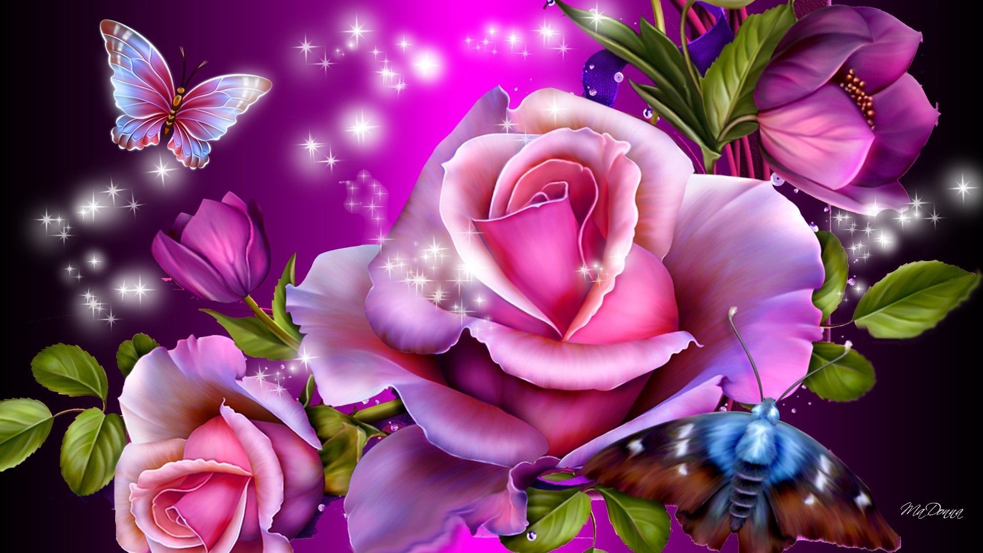 Roses Flower Wallpapers