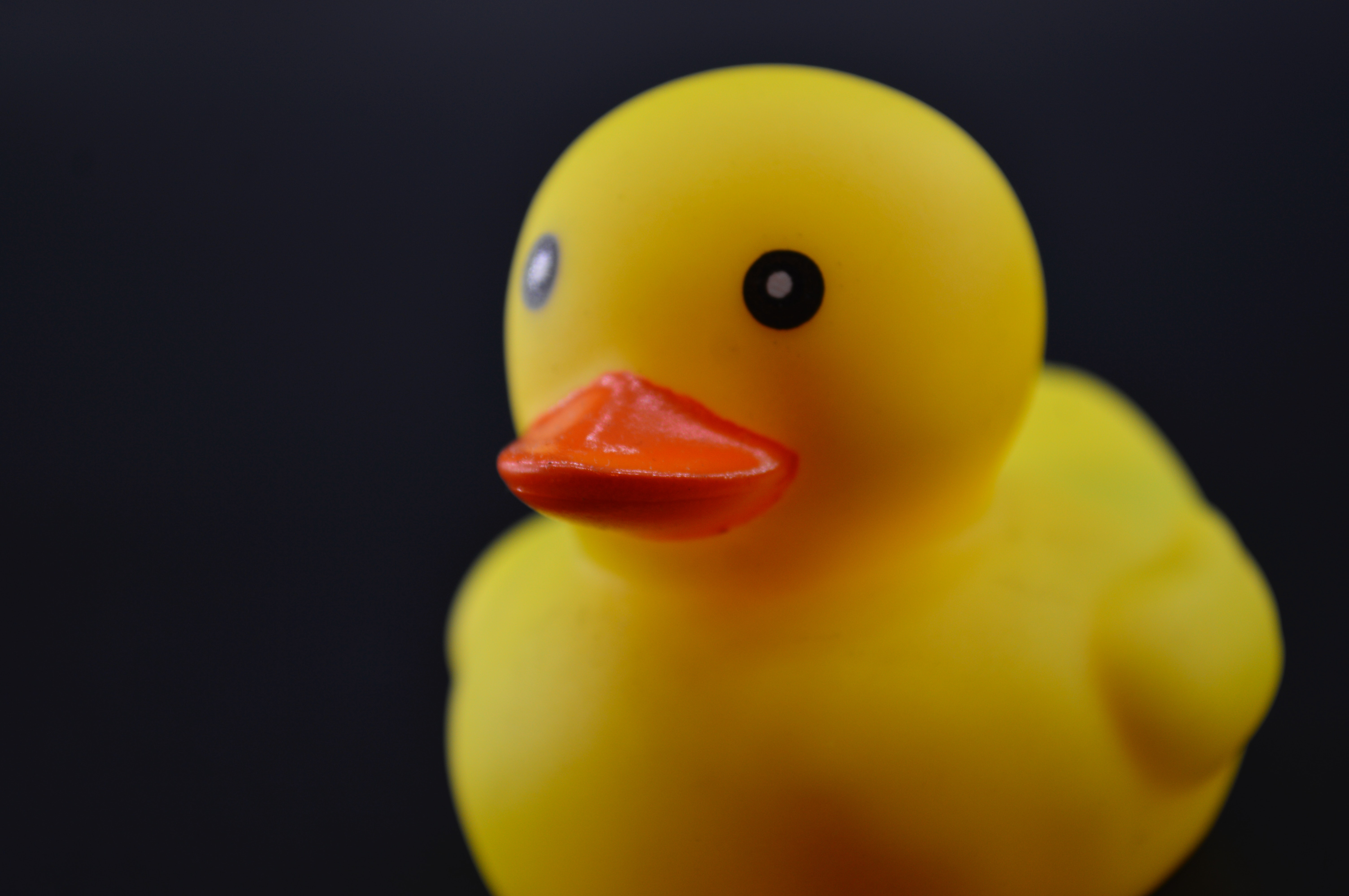 Rubber Ducky Wallpapers