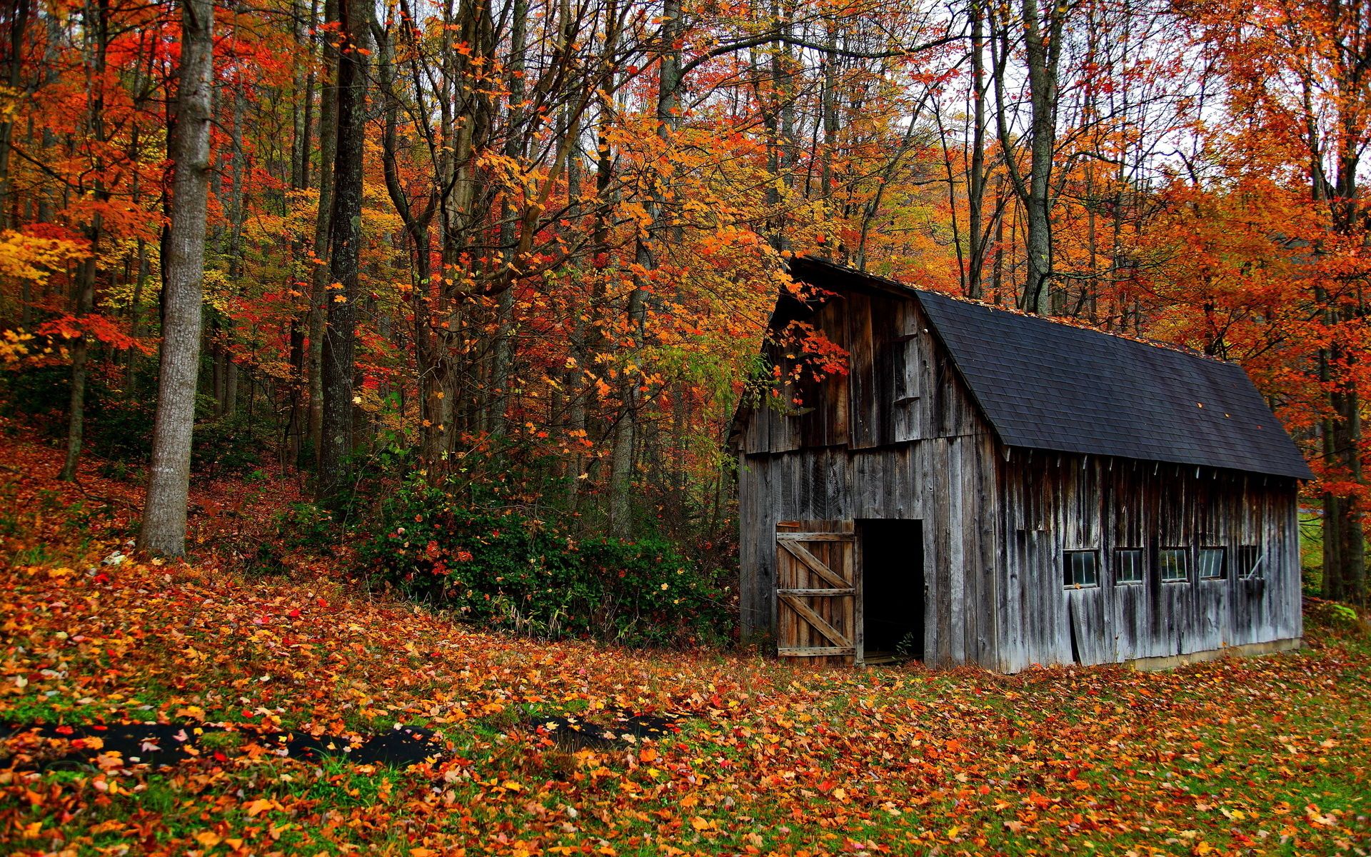 Rustic Nature Wallpapers