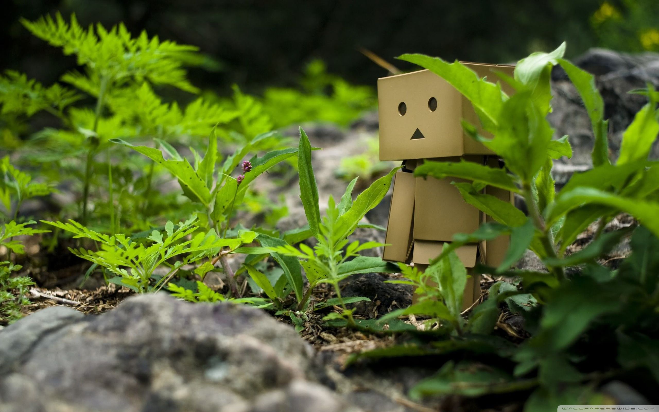 Sad Box Robot Wallpapers