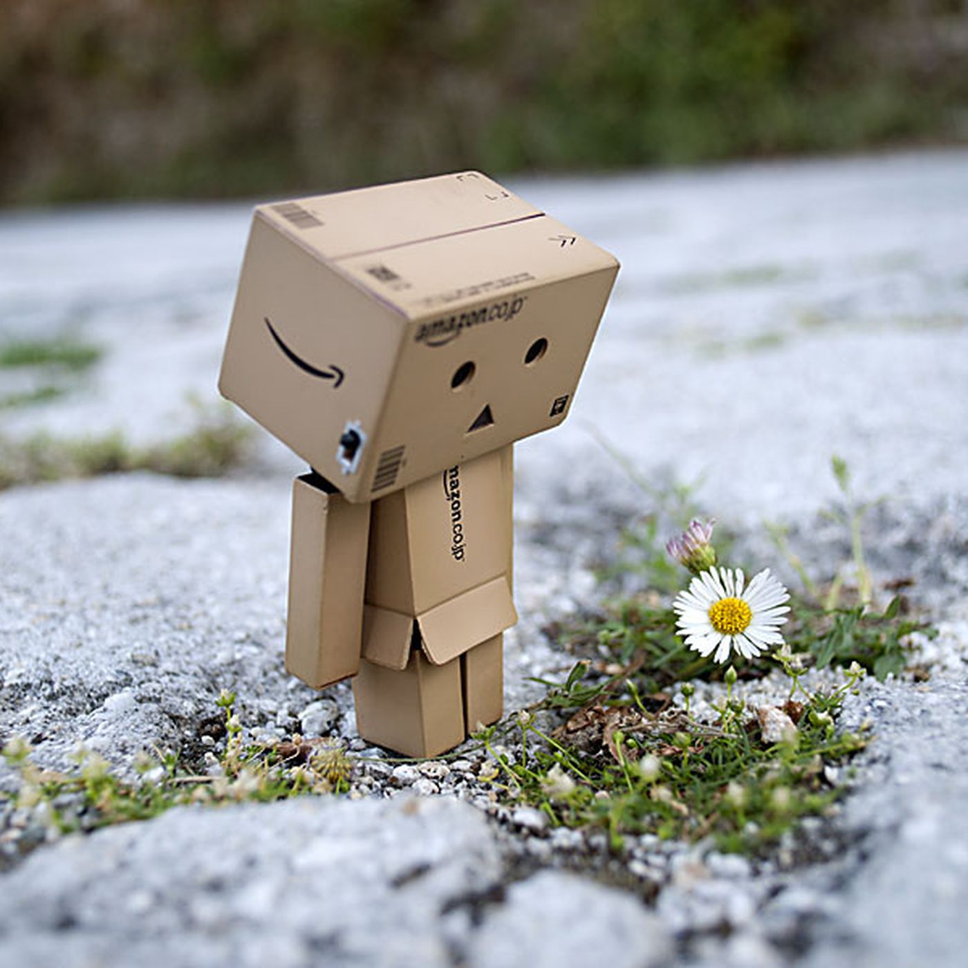 Sad Box Robot Wallpapers