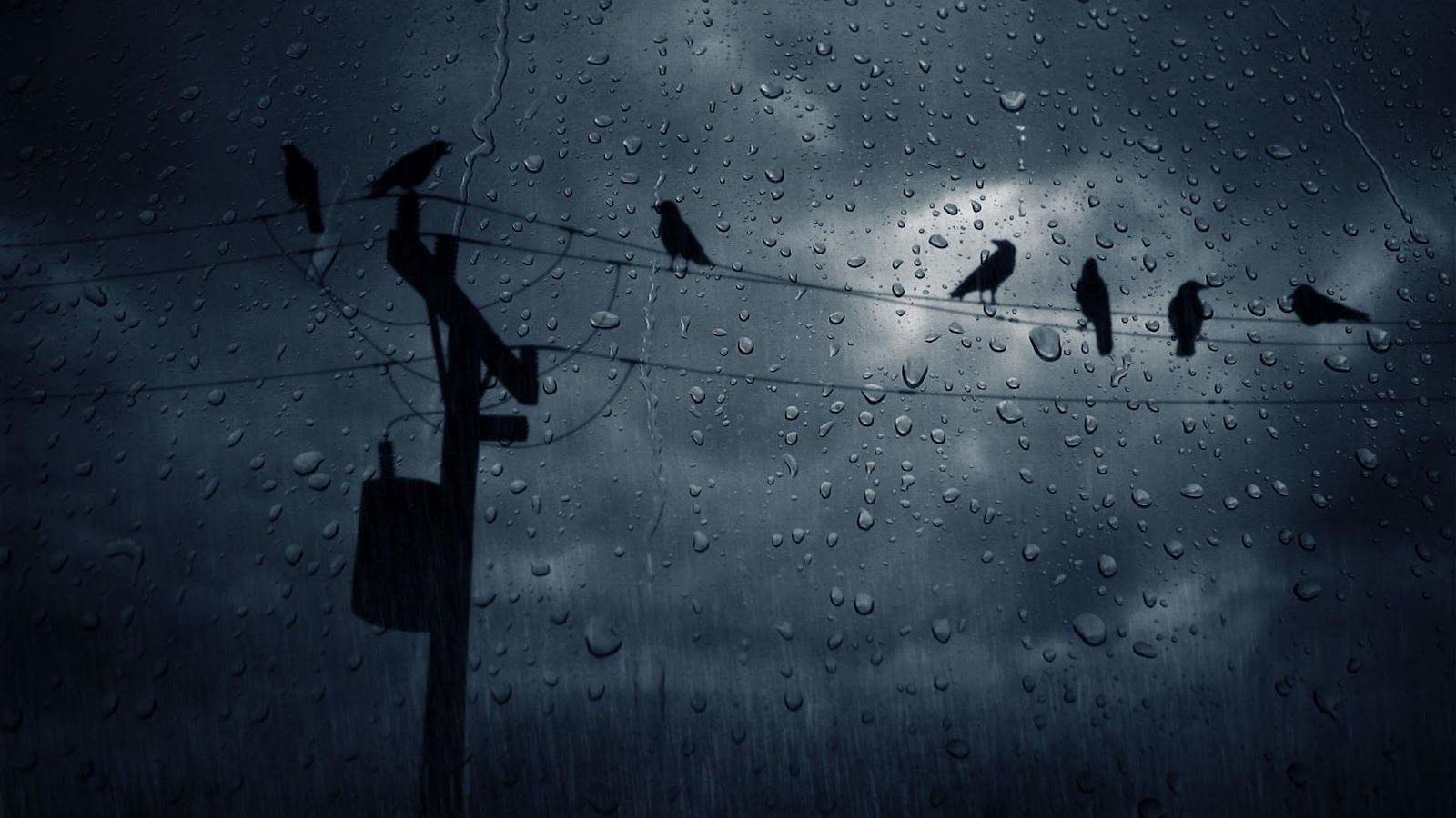 Sad Rain Wallpapers