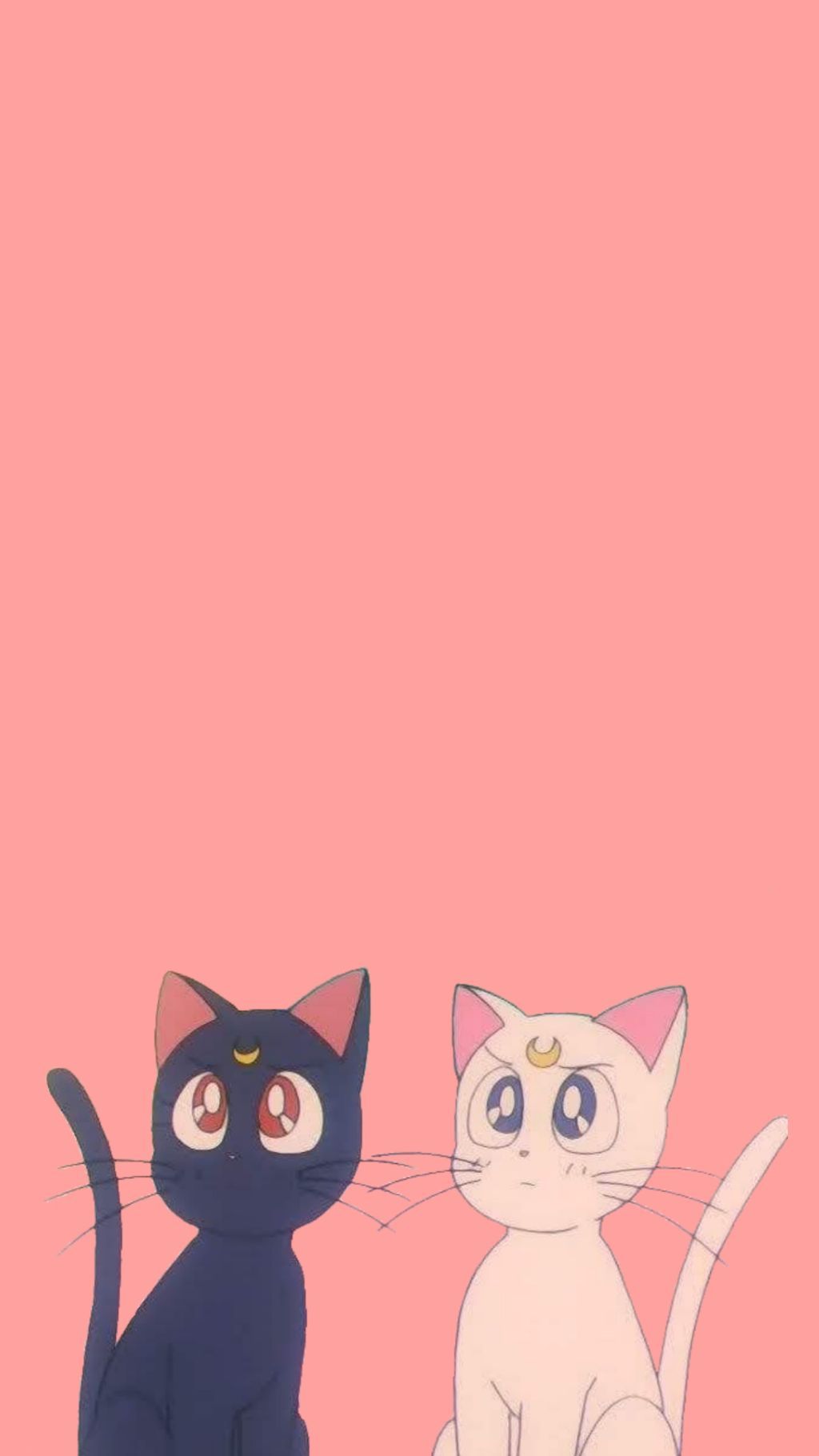 Sailor Moon Cat Wallpapers