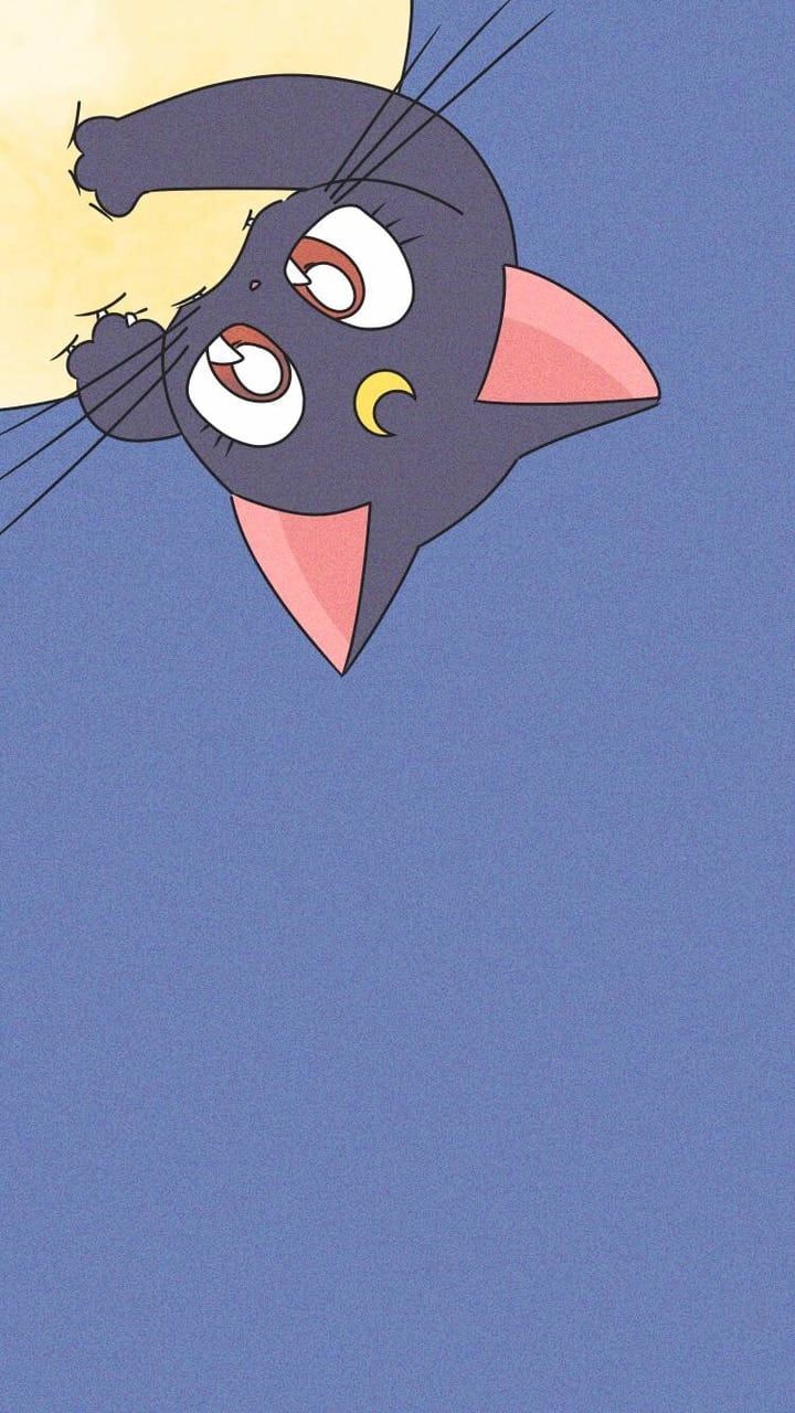 Sailor Moon Cat Wallpapers