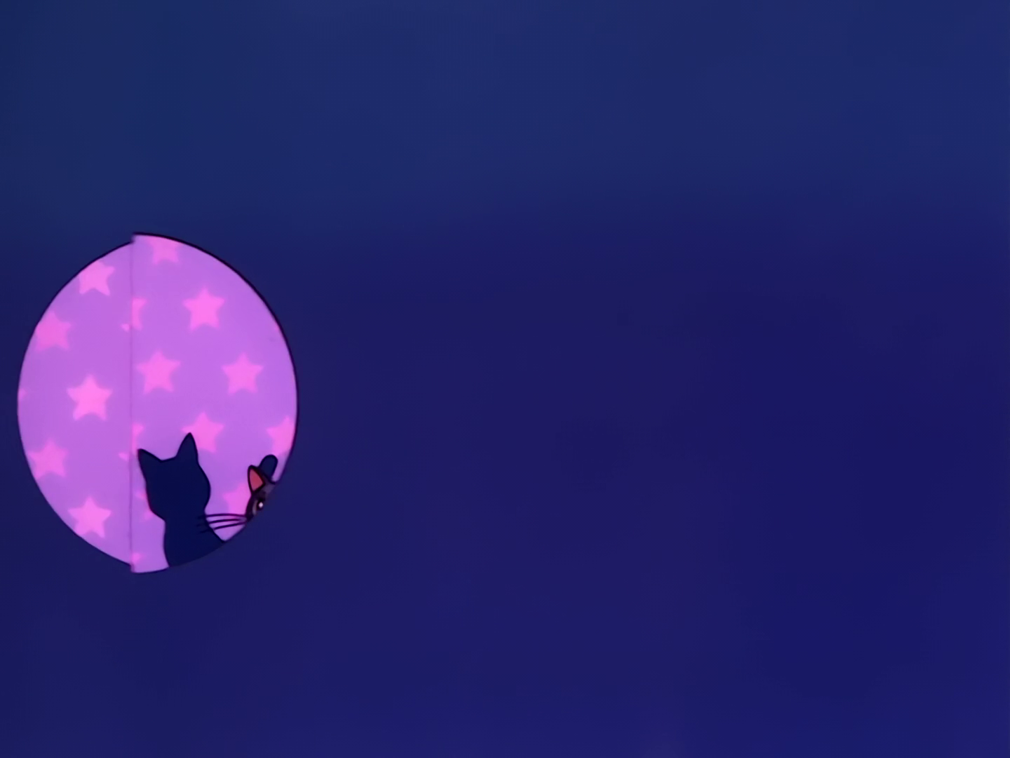 Sailor Moon Cat Wallpapers