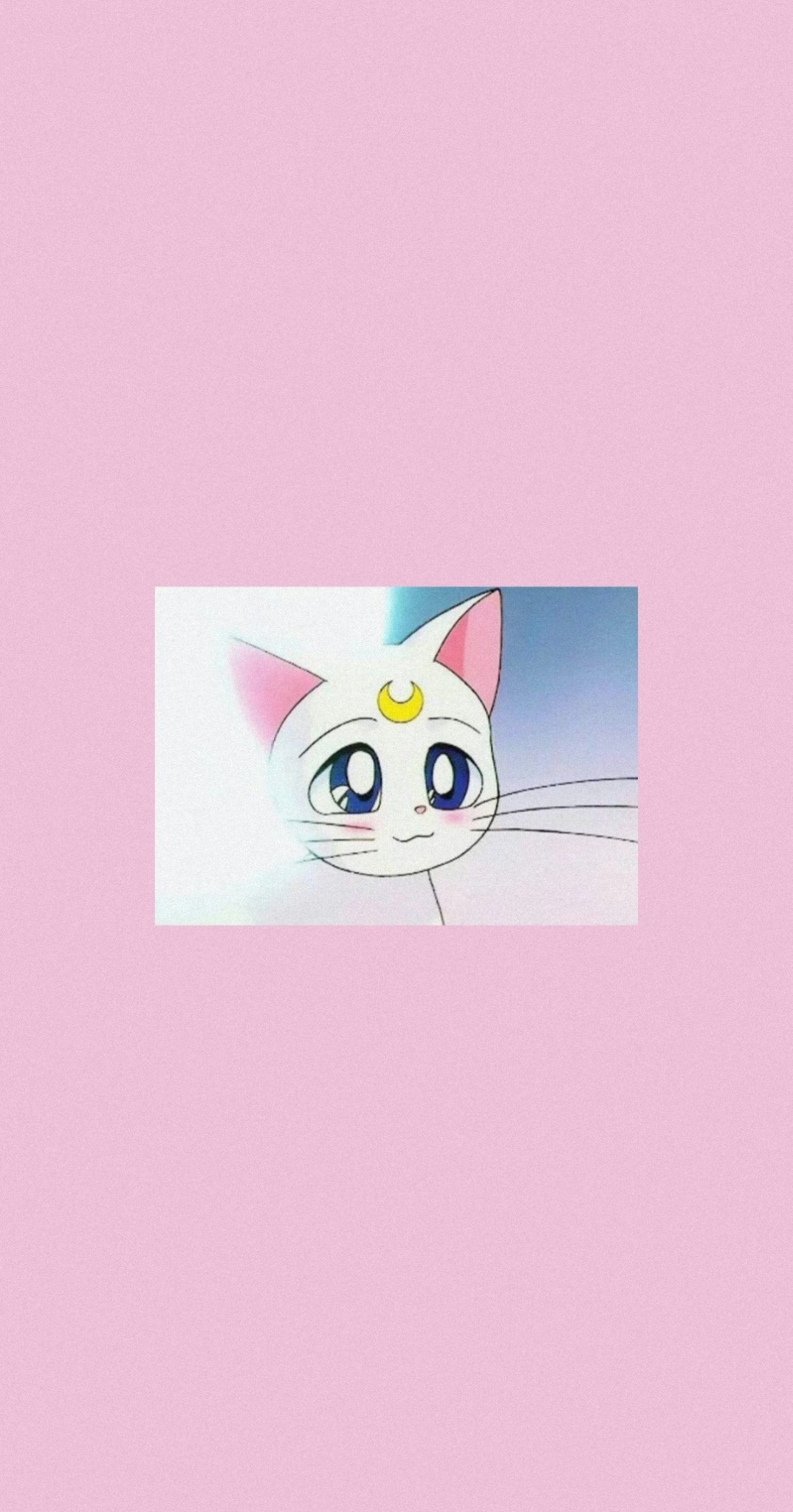 Sailor Moon Cat Wallpapers