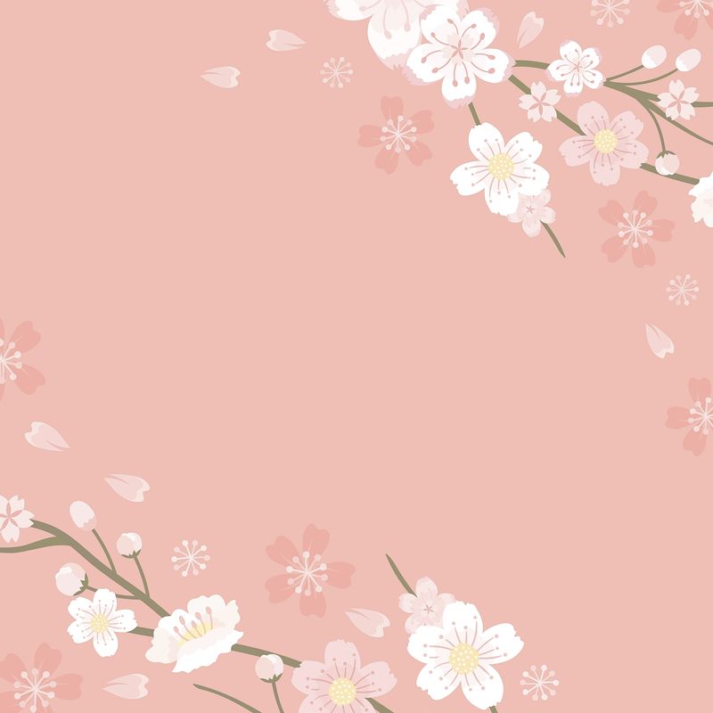 Sakura Aesthetic Wallpapers