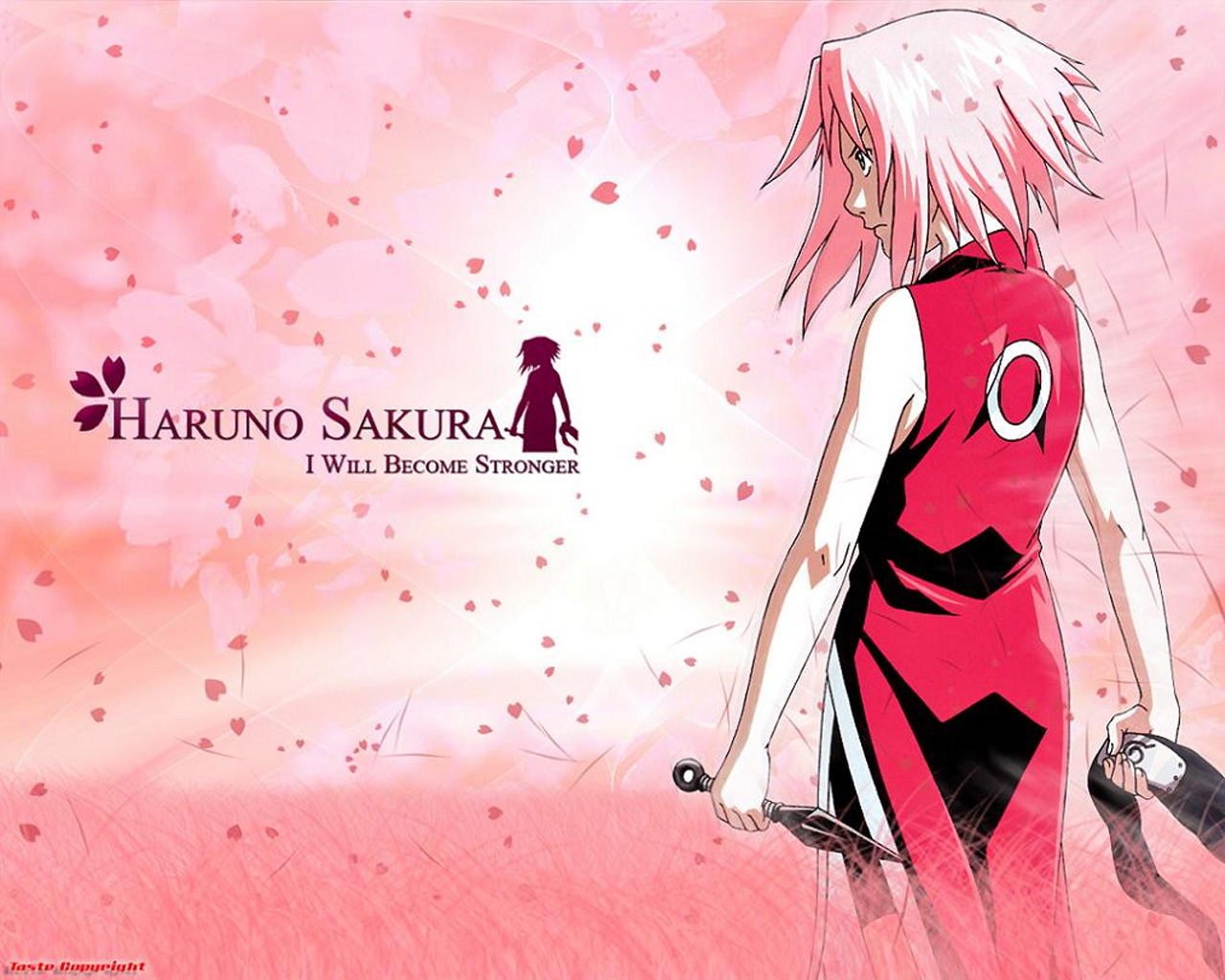 Sakura Haruno Wallpapers