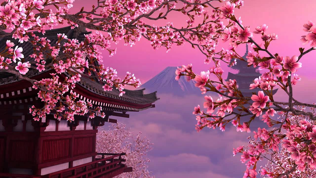 Sakura Hd Wallpapers