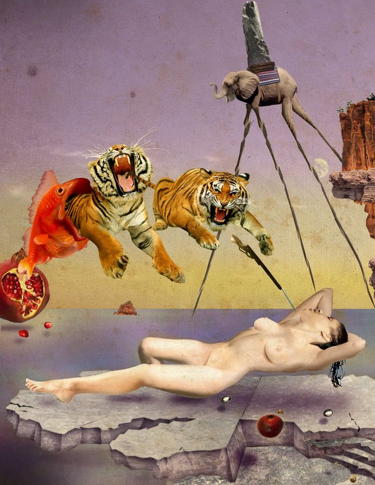 Salvador Dali Tiger Wallpapers