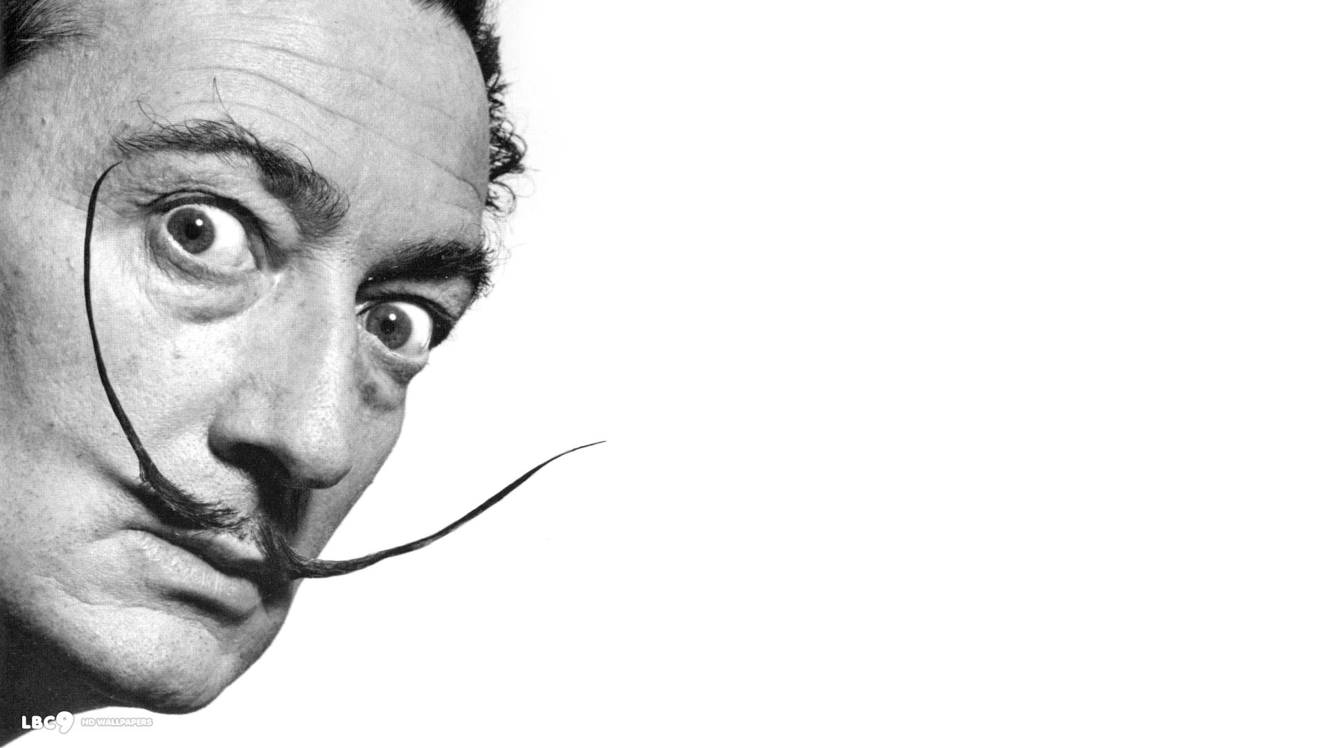 Salvador Dali Tiger Wallpapers