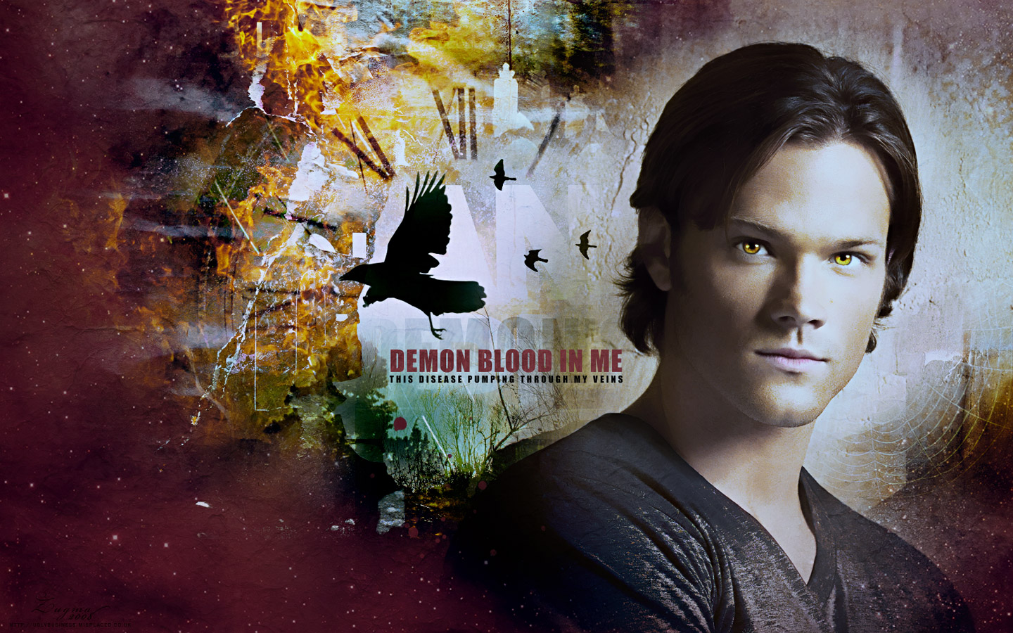 Sam Winchester Wallpapers