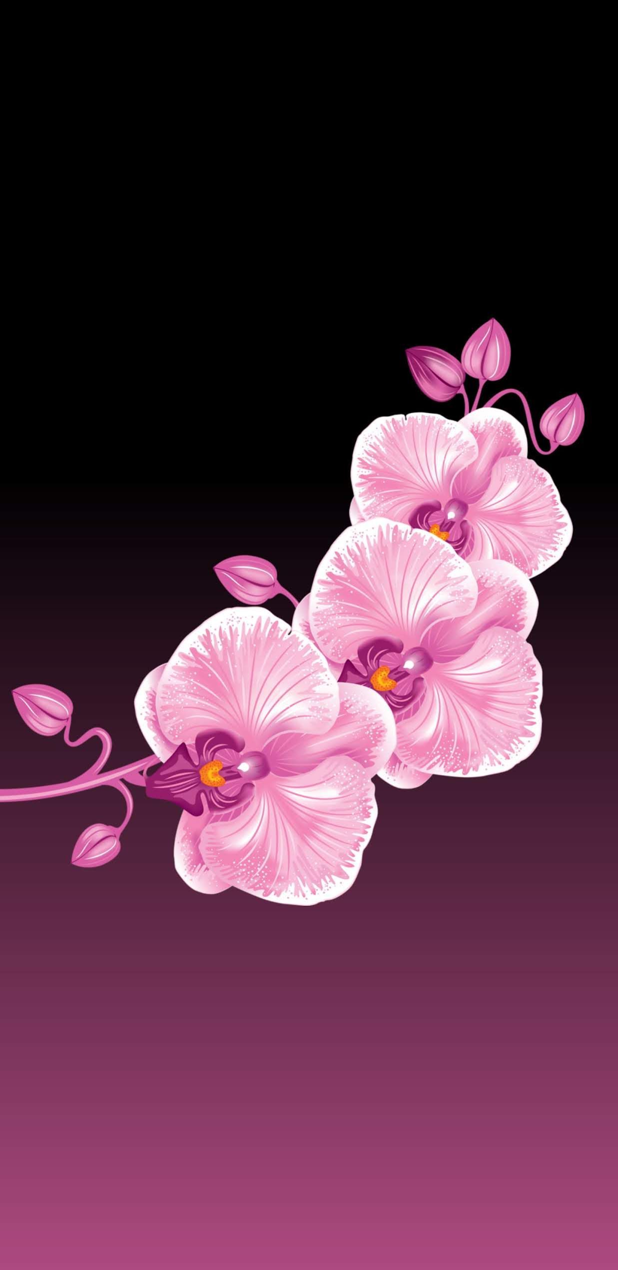 Samsung Flower Wallpapers