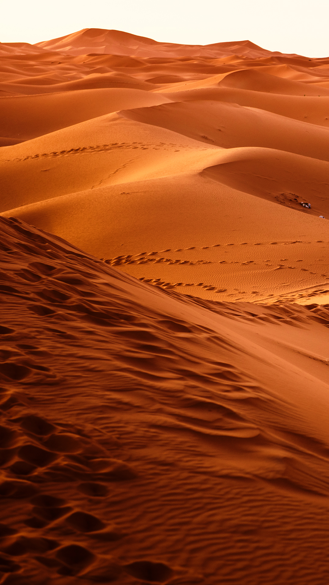 Sand Dune Wallpapers