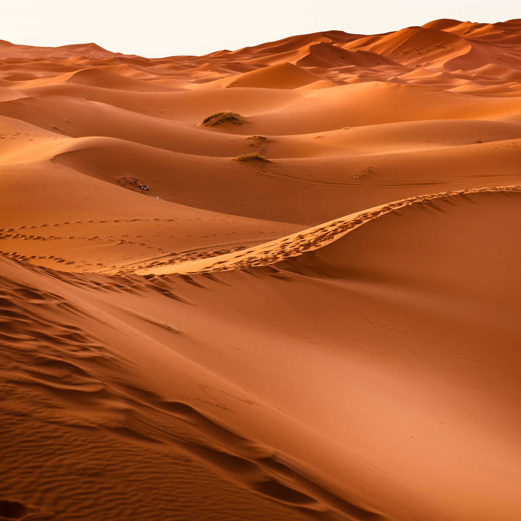 Sand Dune Wallpapers