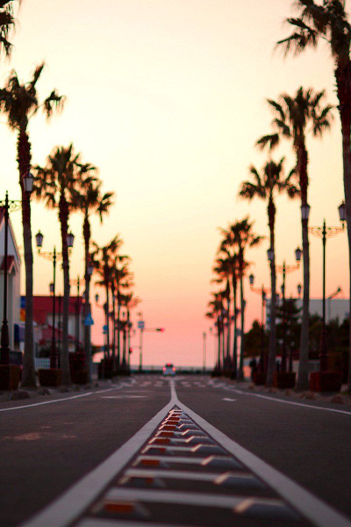 Santa Monica Iphone Wallpapers