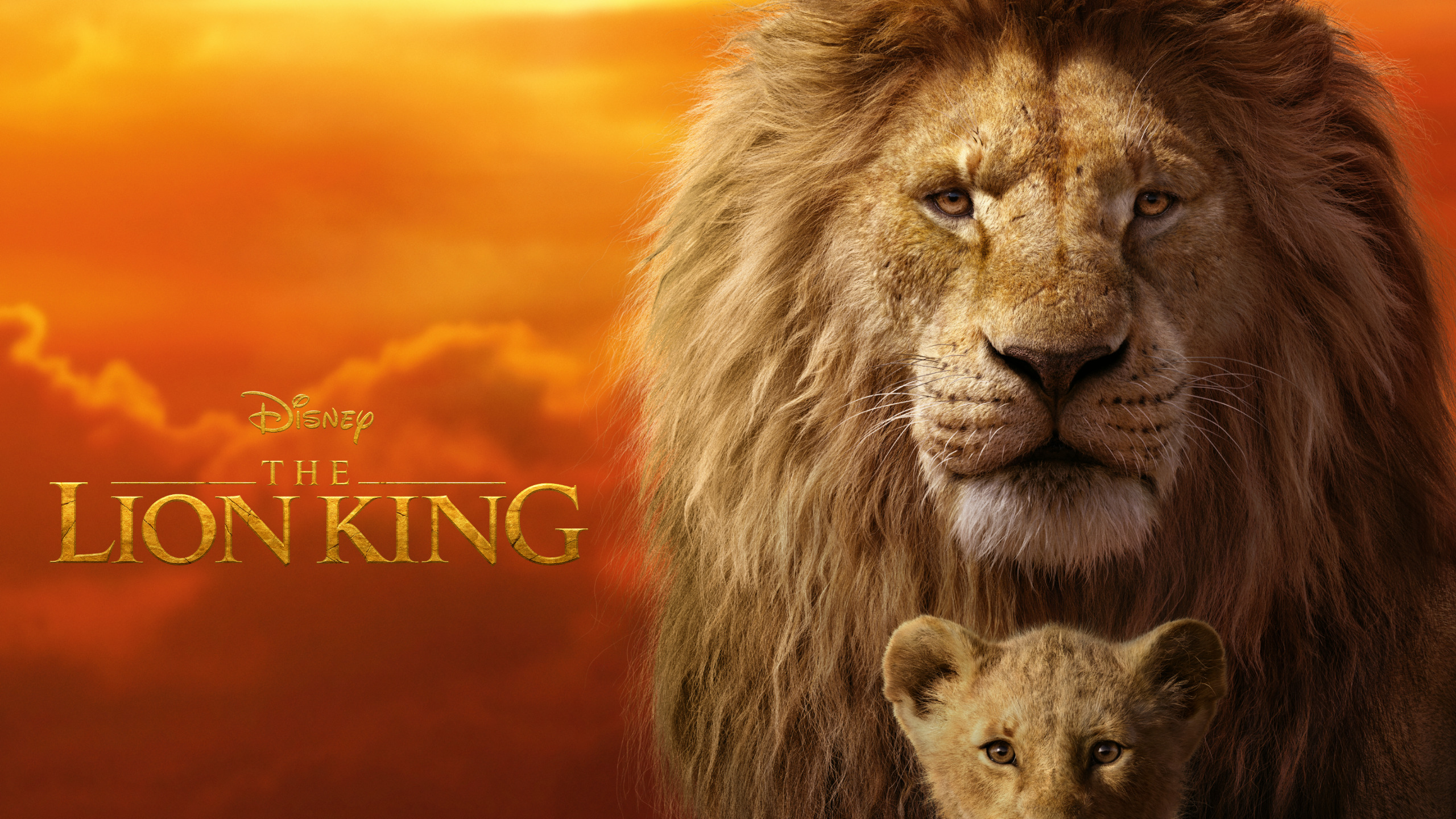 Scar Lion King Wallpapers