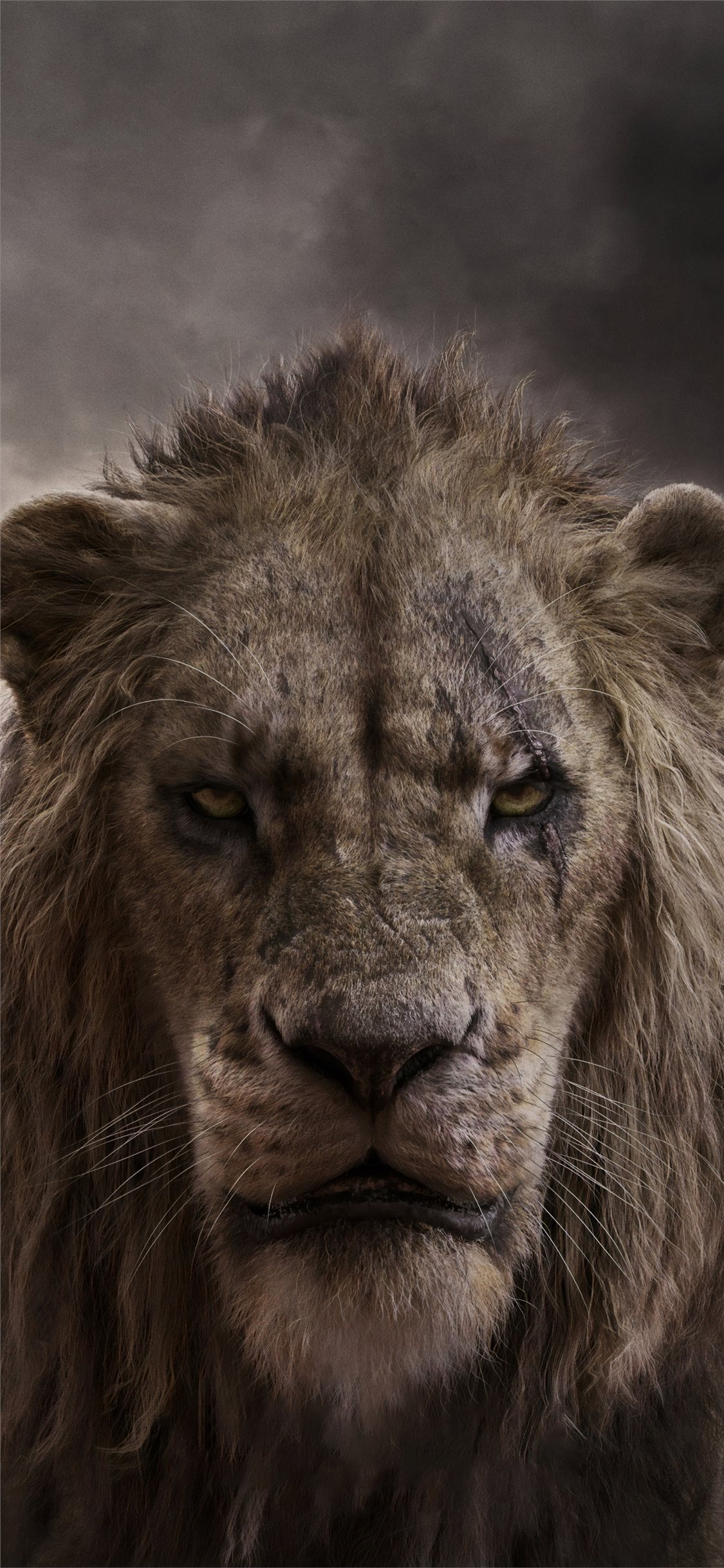 Scar Lion King Wallpapers