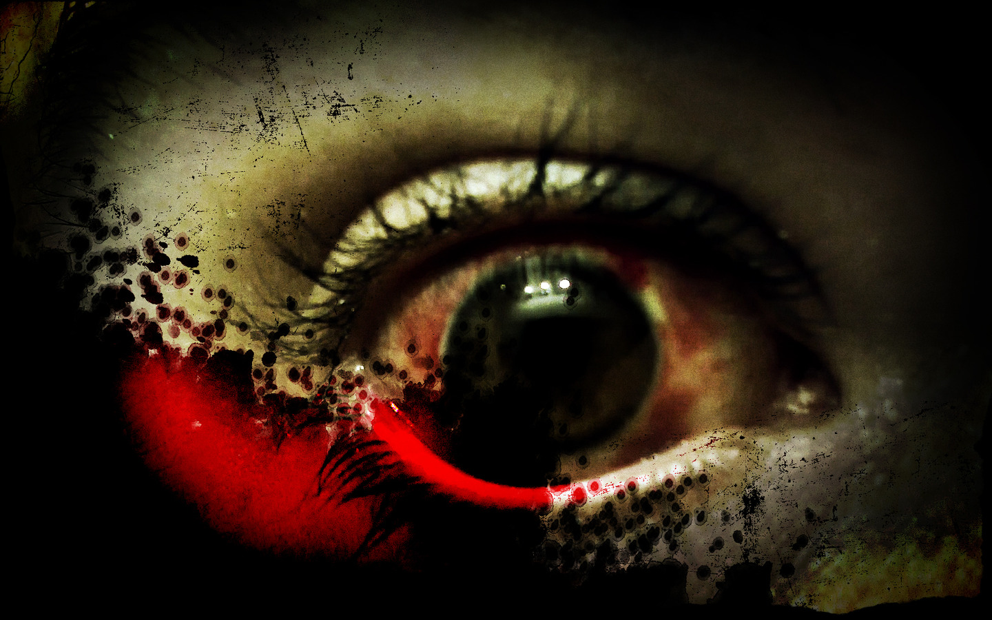 Scary Eyes Wallpapers
