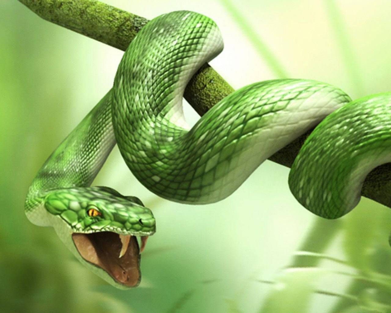 Scary Snakes Wallpapers