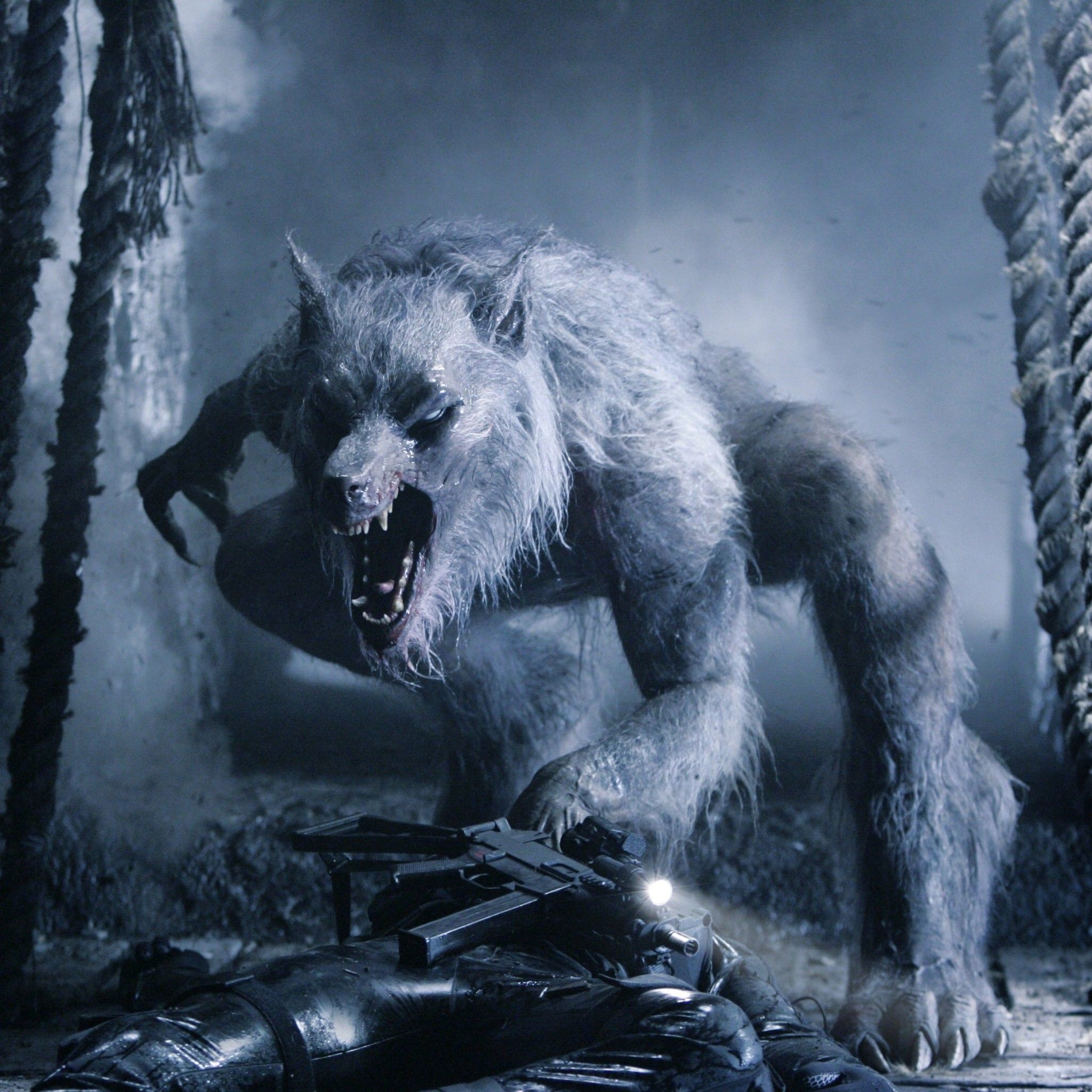 Scary Werewolf Picture Wallpapers