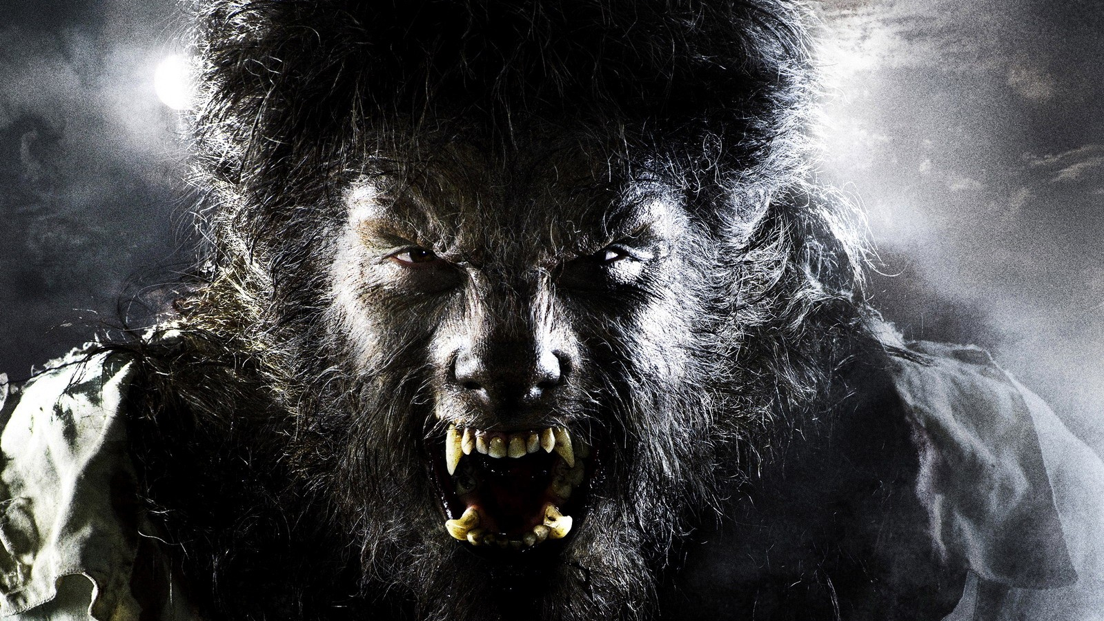 Scary Werewolf Picture Wallpapers