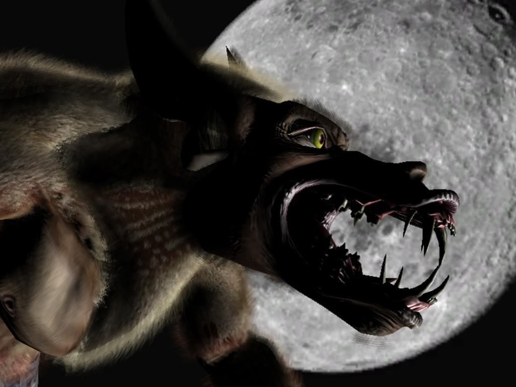 Scary Werewolf Picture Wallpapers