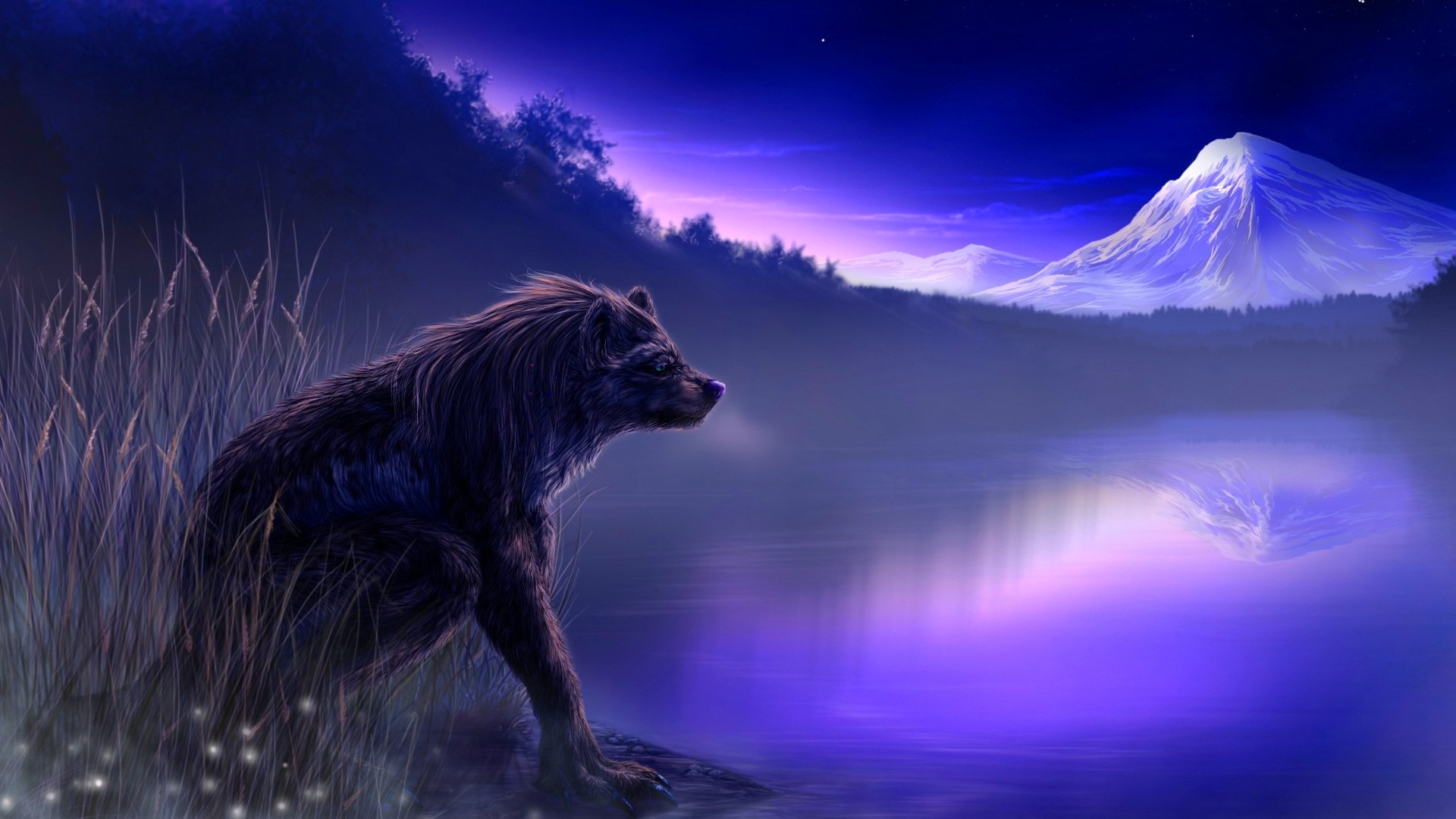 Scary Wolf Wallpapers