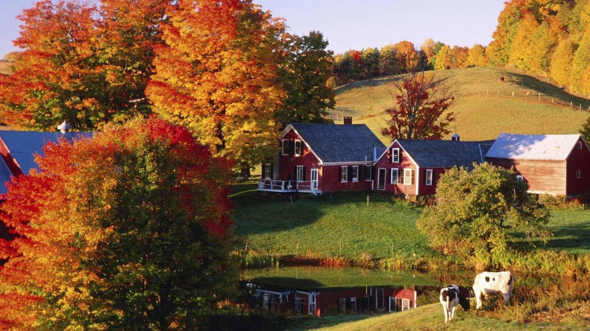 Scenes Of Vermont Wallpapers