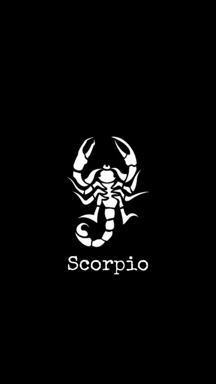 Scorpion Iphone Wallpapers